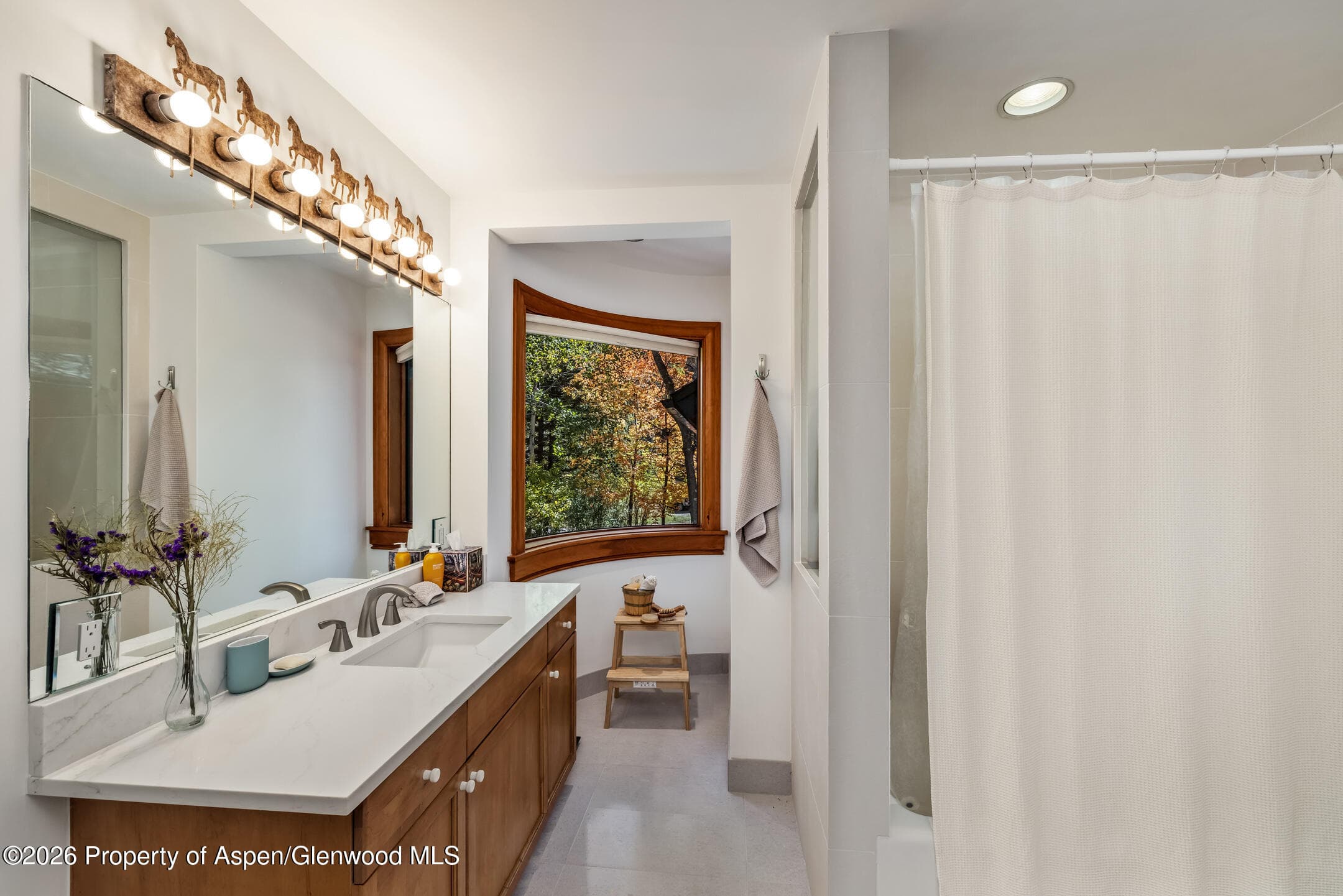 635 Sneaky Lane, Aspen, CO 81611 - Photo 31