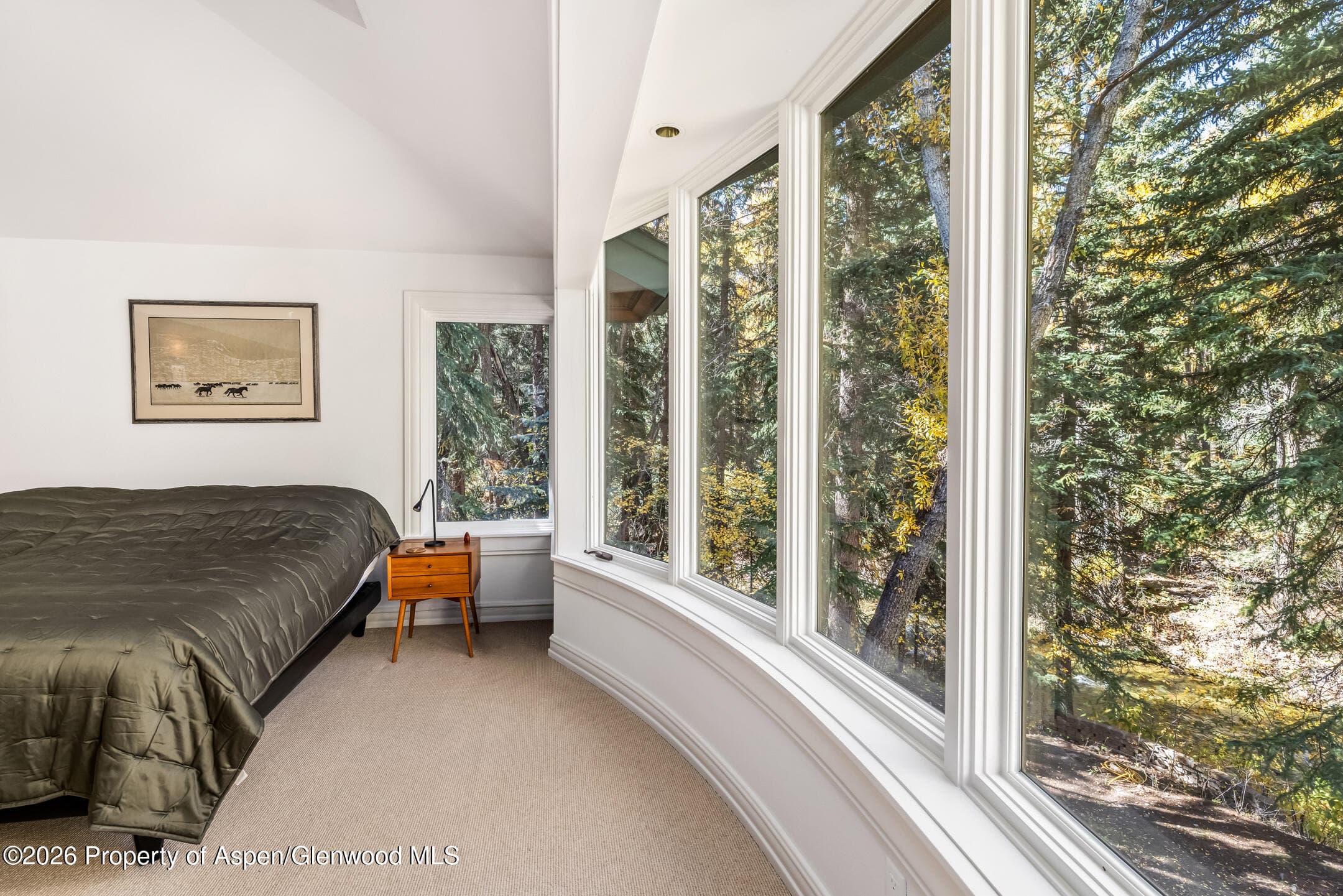 635 Sneaky Lane, Aspen, CO 81611 - Photo 24