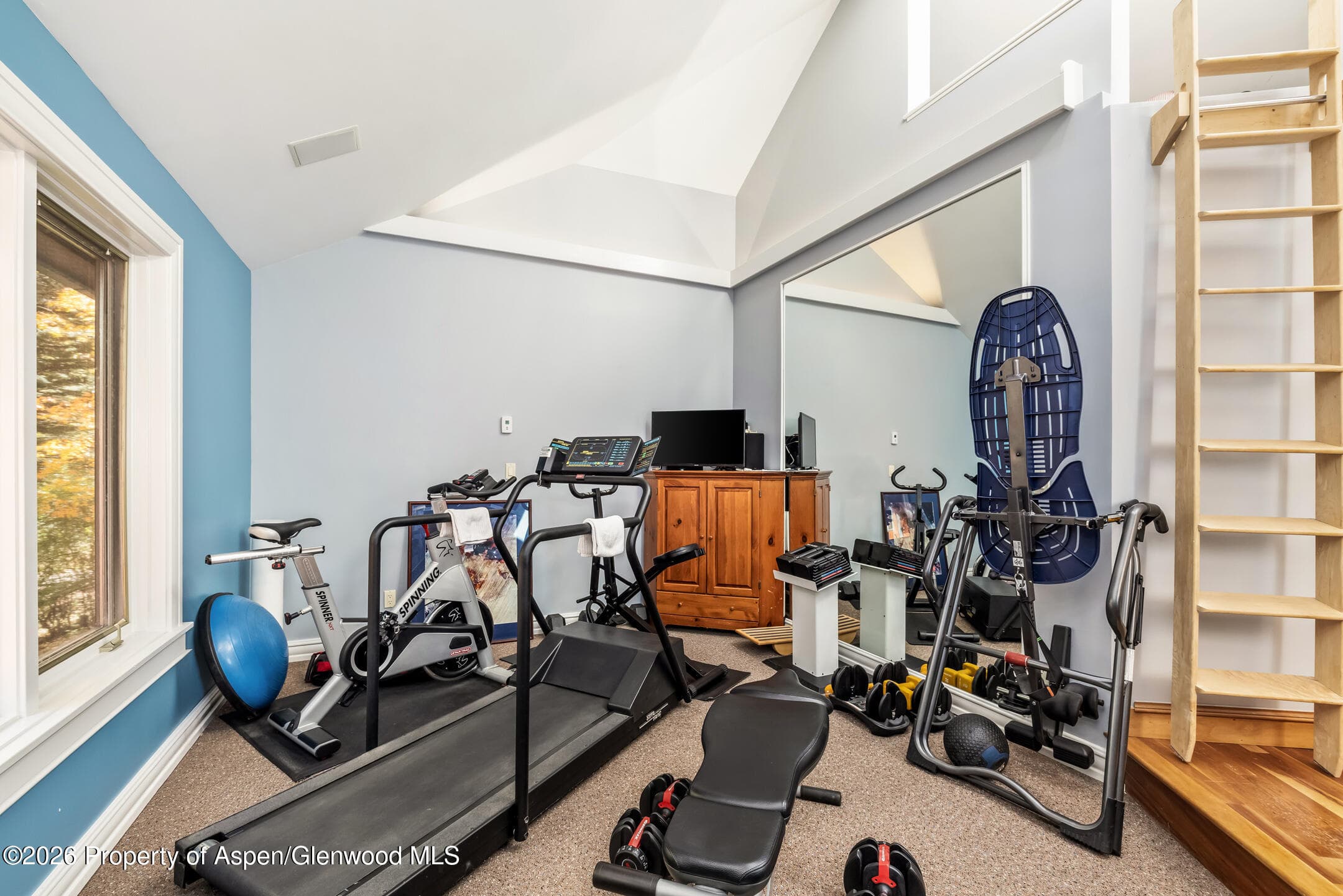 635 Sneaky Lane, Aspen, CO 81611 - Photo 28