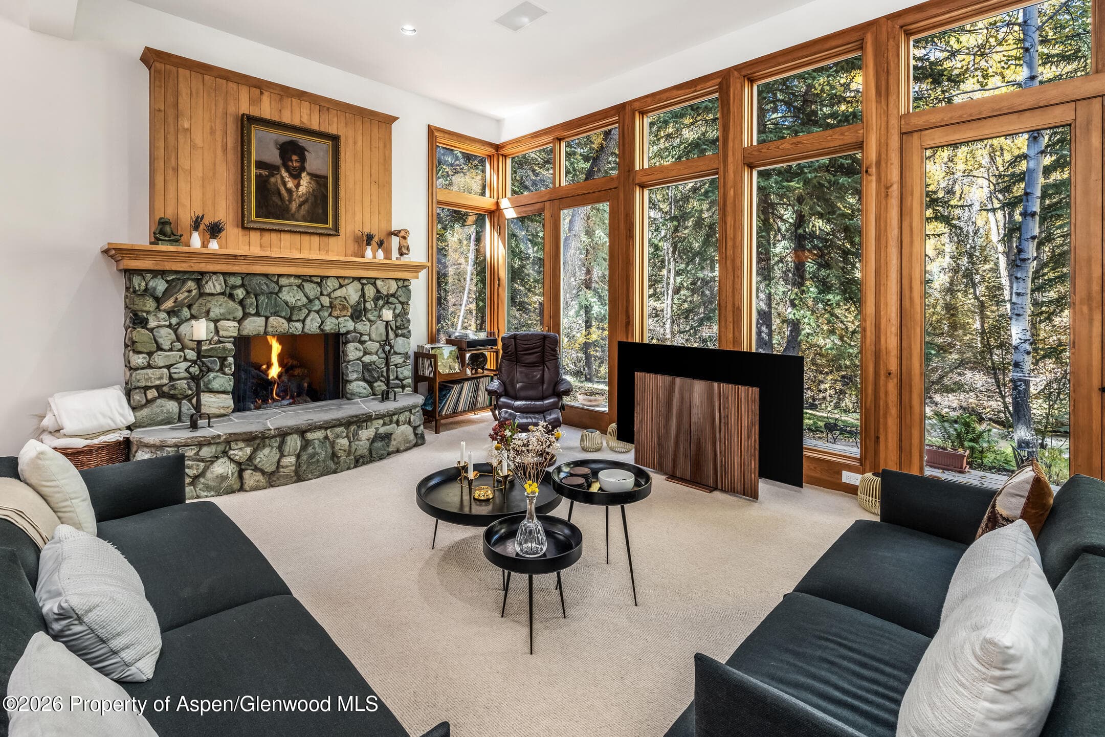 635 Sneaky Lane, Aspen, CO 81611 - Photo 11