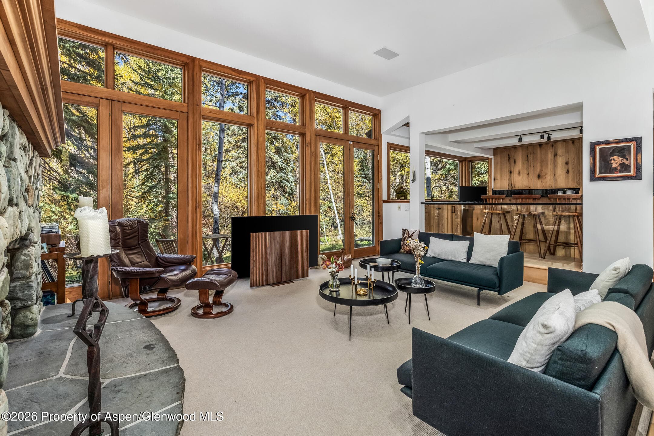 635 Sneaky Lane, Aspen, CO 81611 - Photo 12