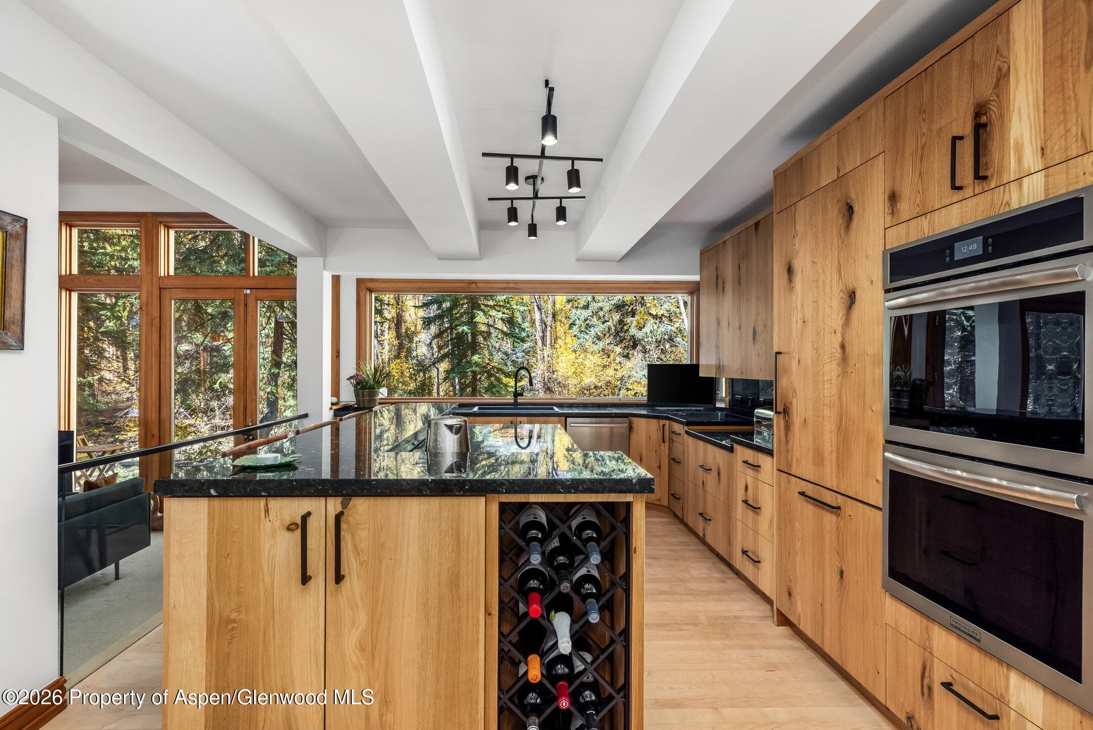 635 Sneaky Lane, Aspen, CO 81611 - Photo 15