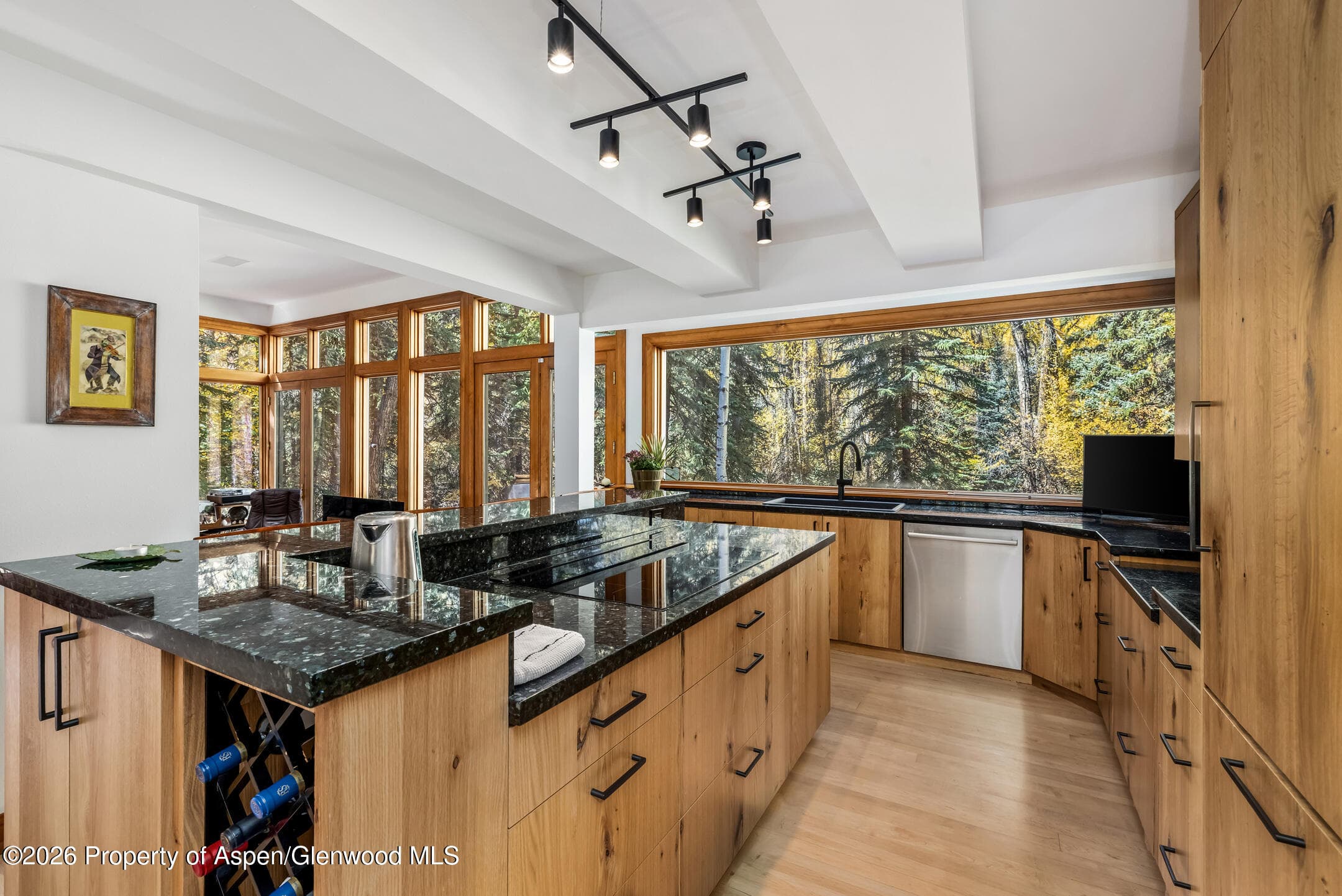 635 Sneaky Lane, Aspen, CO 81611 - Photo 16