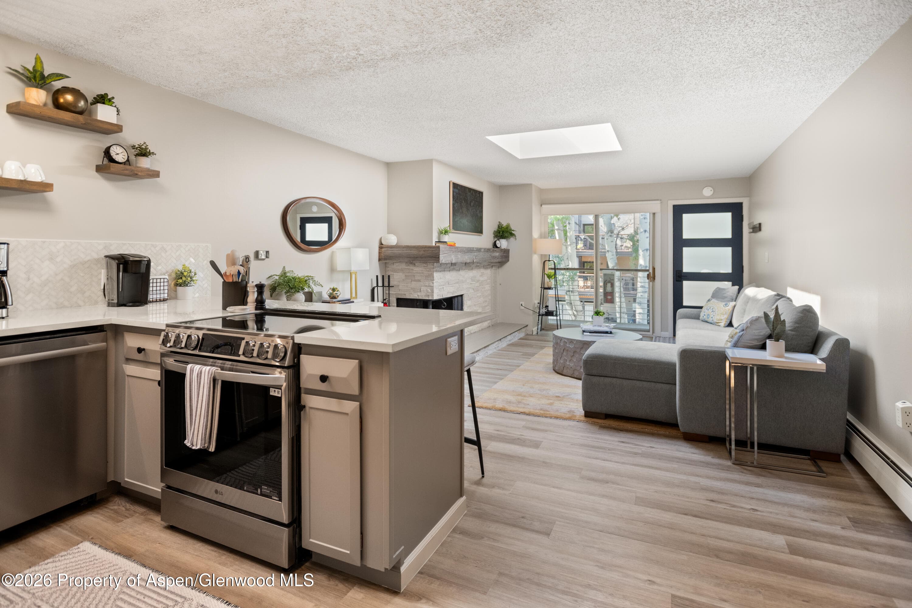 100 E Dean Street 3d, Aspen, CO 81611 - Photo 4