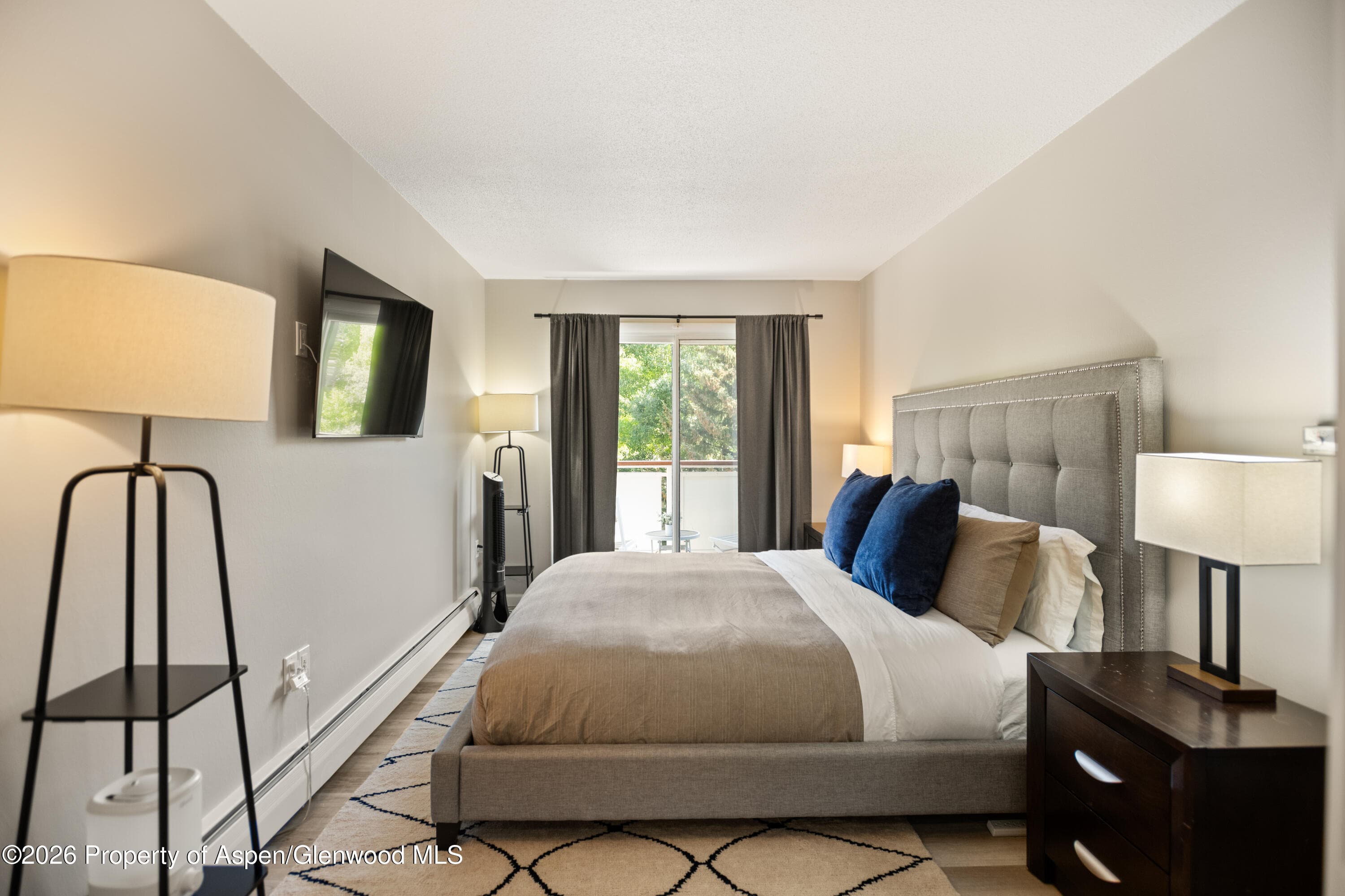 100 E Dean Street 3d, Aspen, CO 81611 - Photo 5