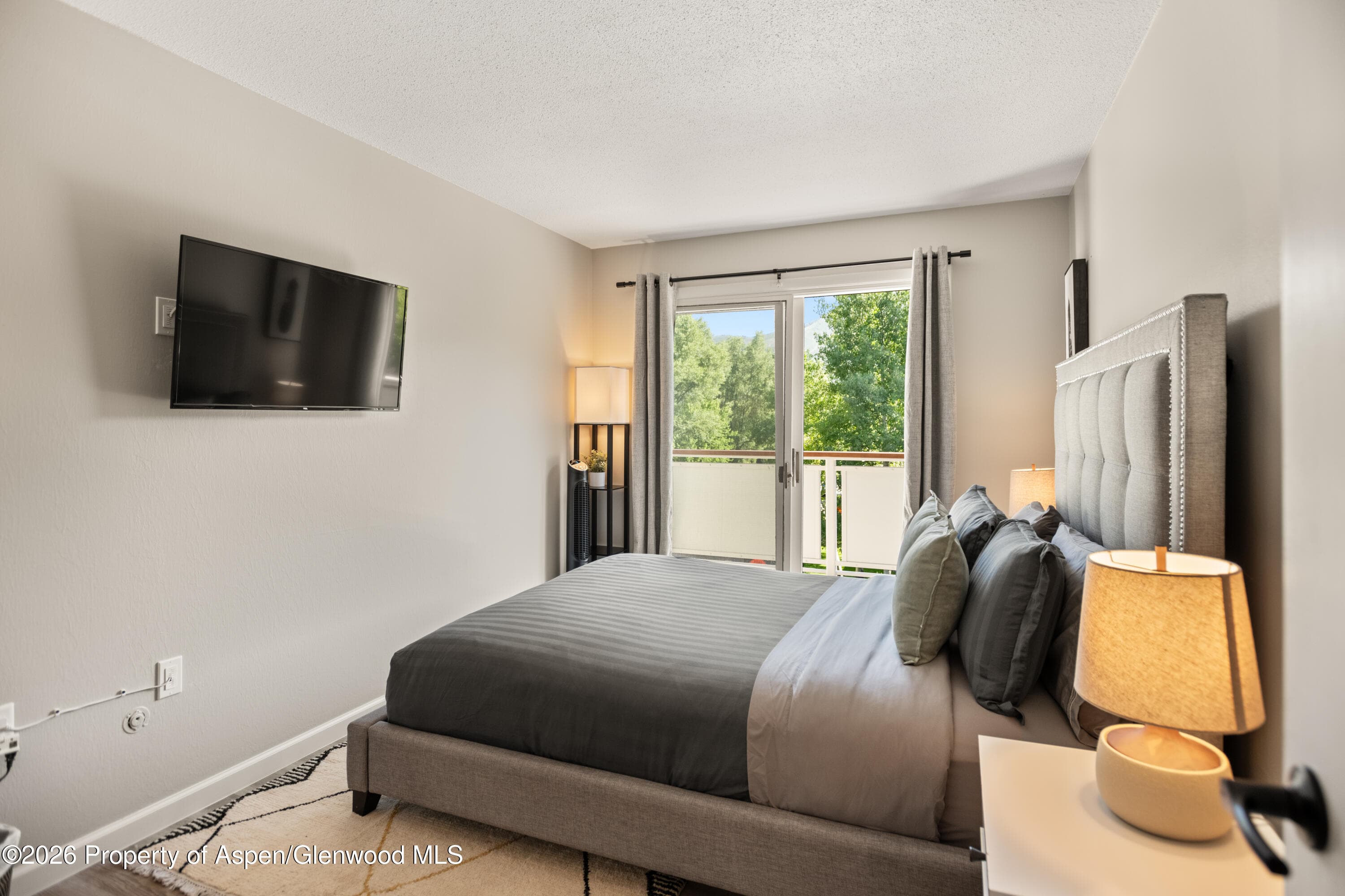 100 E Dean Street 3d, Aspen, CO 81611 - Photo 6
