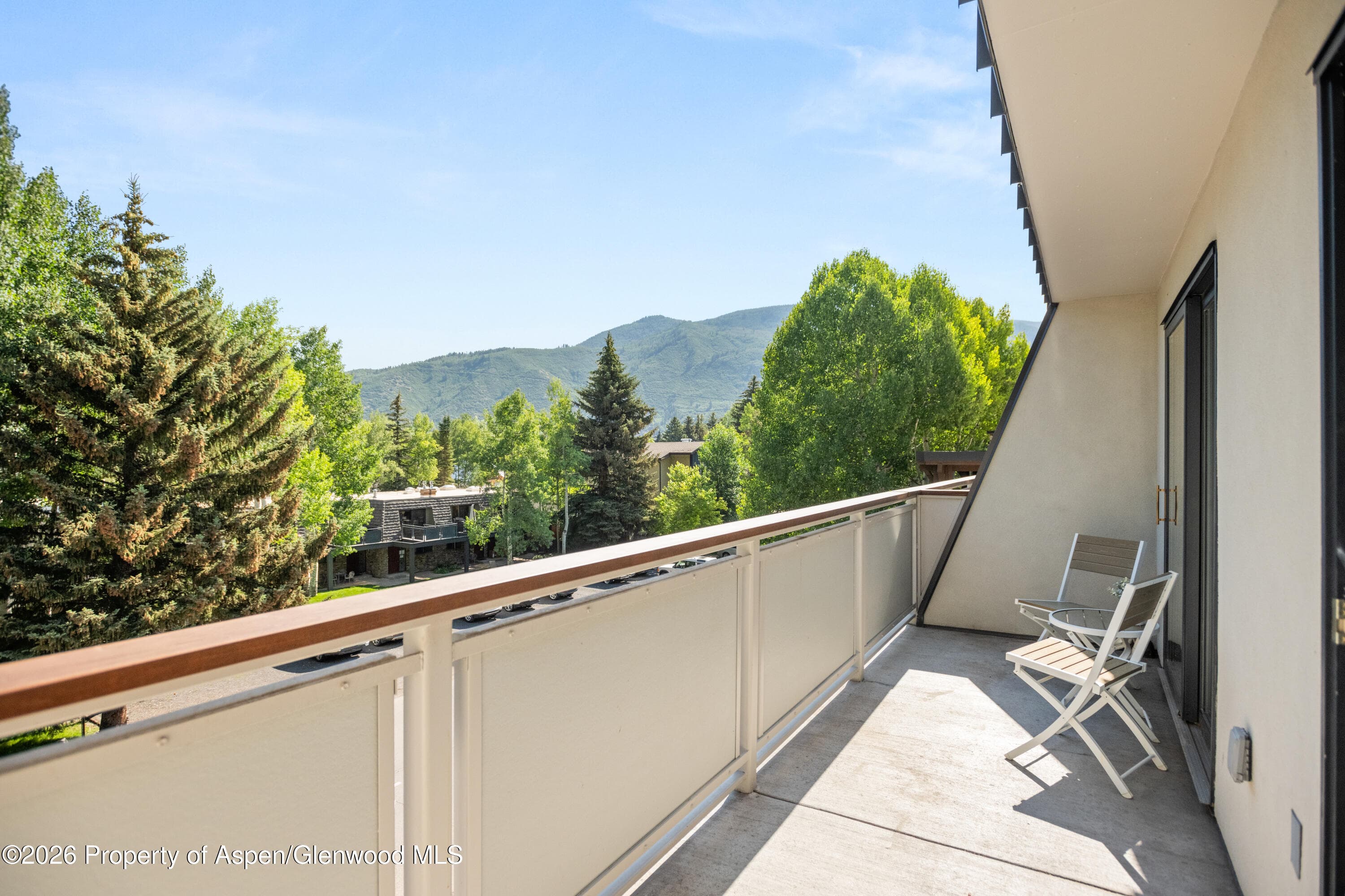 100 E Dean Street 3d, Aspen, CO 81611 - Photo 7