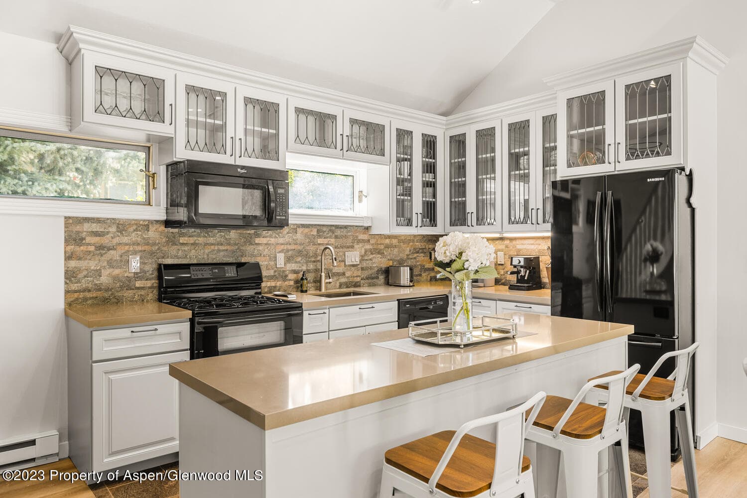 1195 E Cooper Avenue Unit A, Aspen, CO 81611 - Photo 5