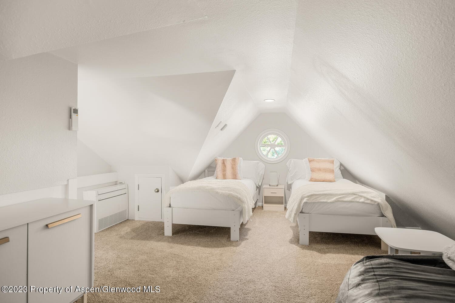 1195 E Cooper Avenue Unit A, Aspen, CO 81611 - Photo 11