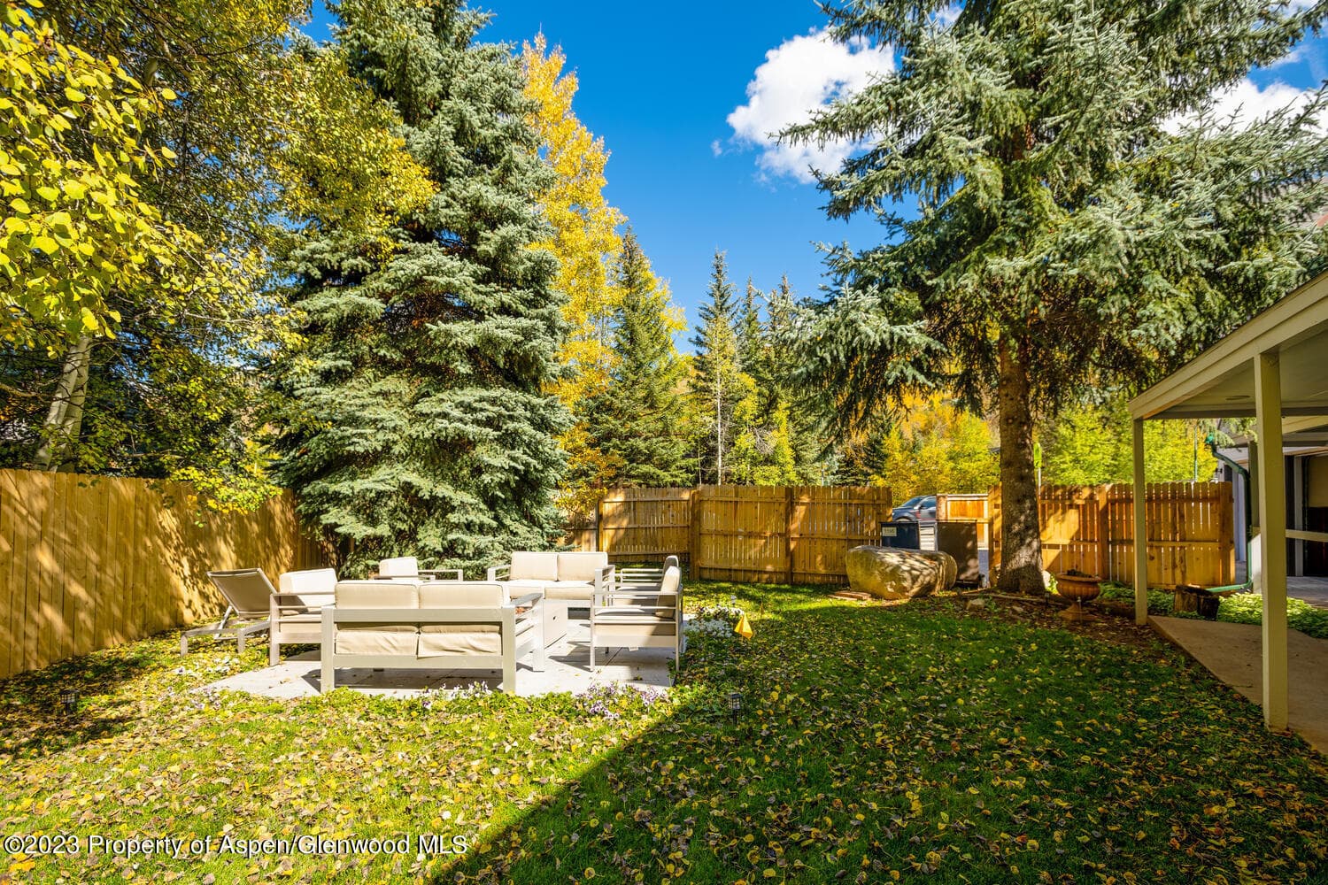 1195 E Cooper Avenue Unit A, Aspen, CO 81611 - Photo 14
