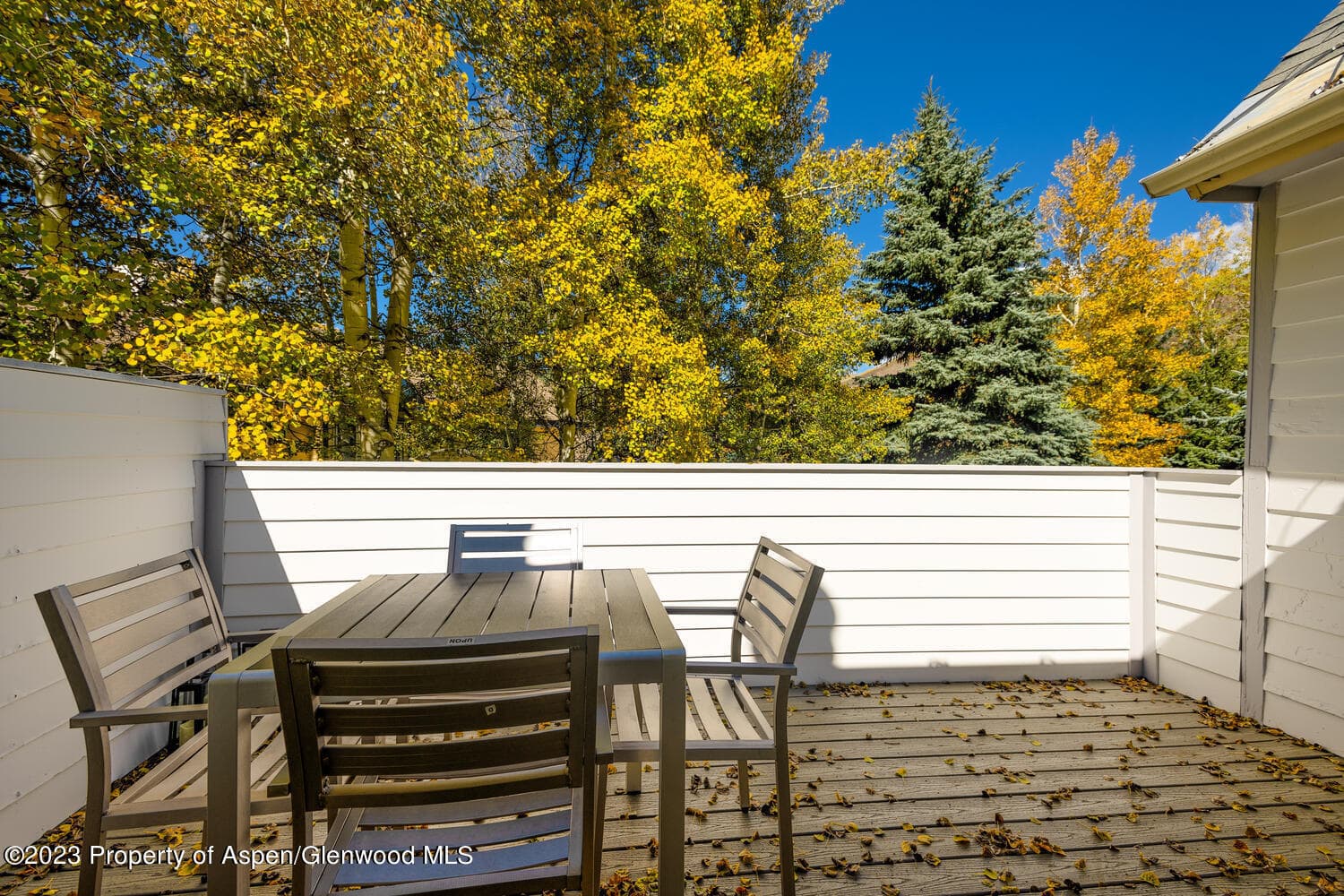 1195 E Cooper Avenue Unit A, Aspen, CO 81611 - Photo 16