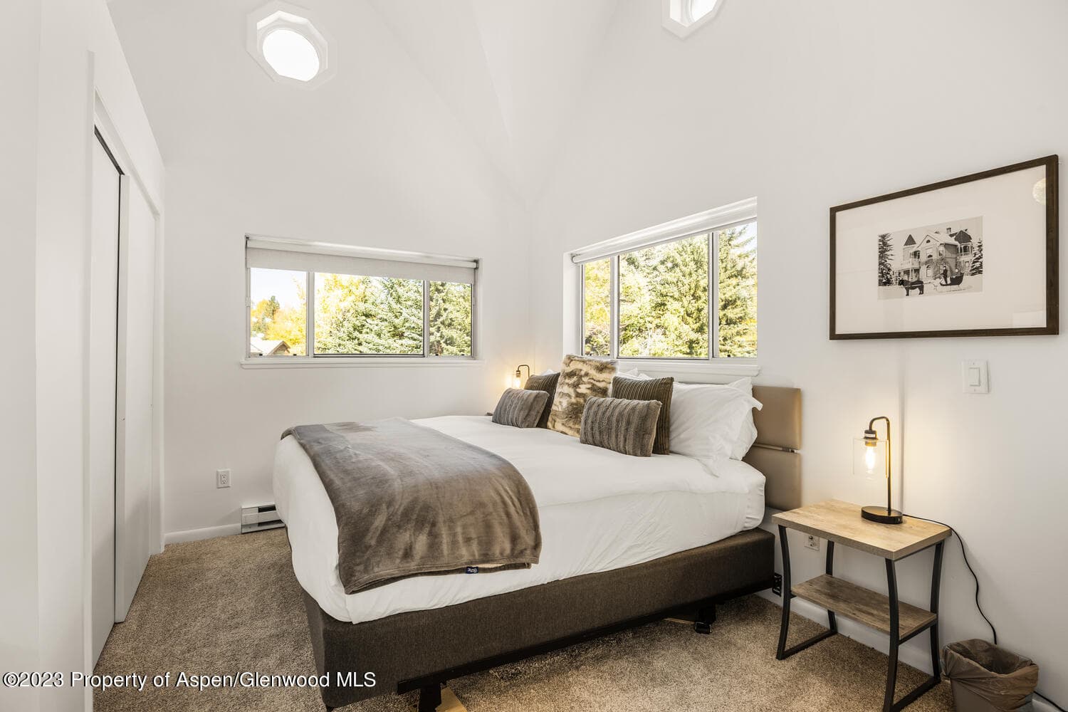 1195 E Cooper Avenue Unit A, Aspen, CO 81611 - Photo 20