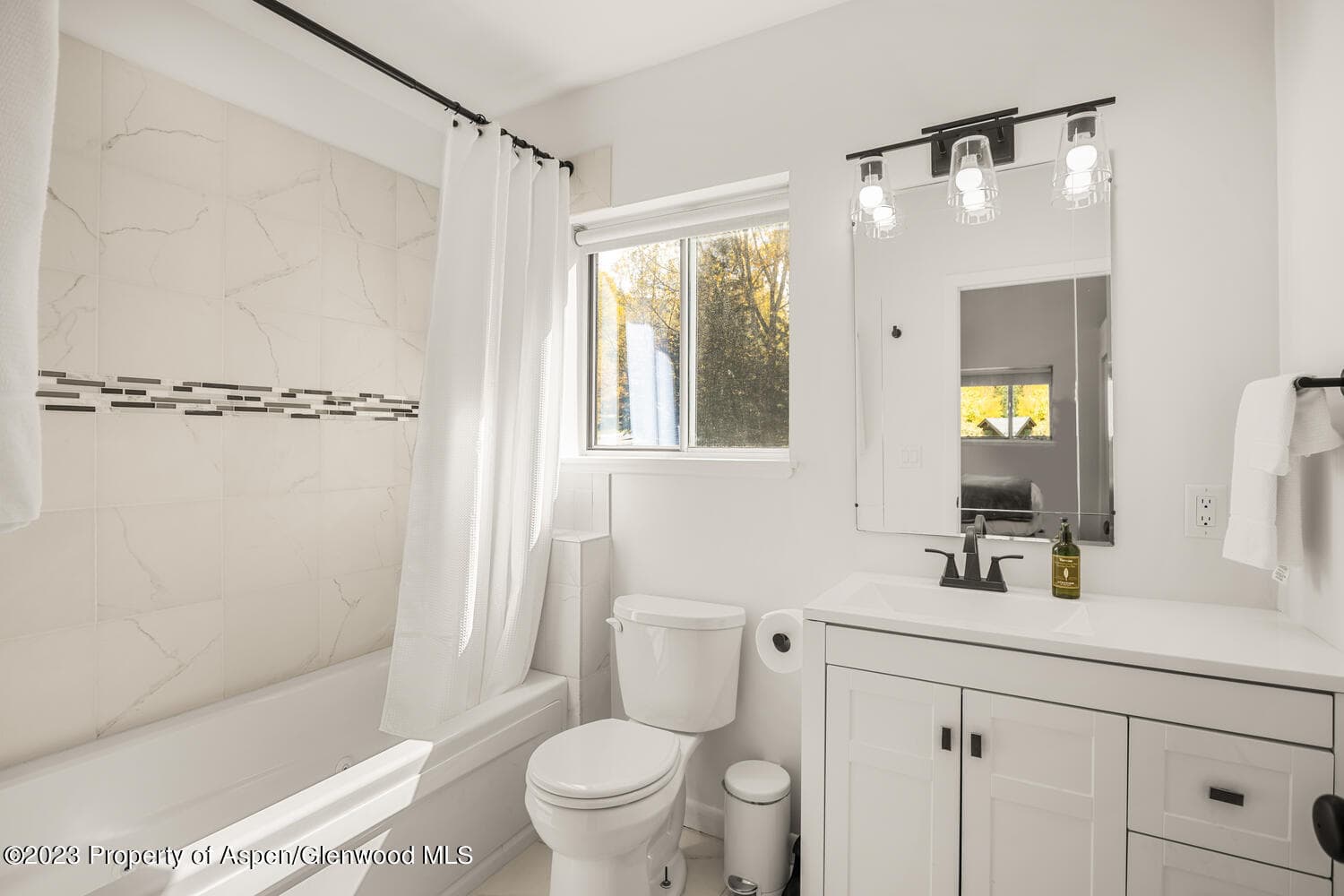 1195 E Cooper Avenue Unit A, Aspen, CO 81611 - Photo 21