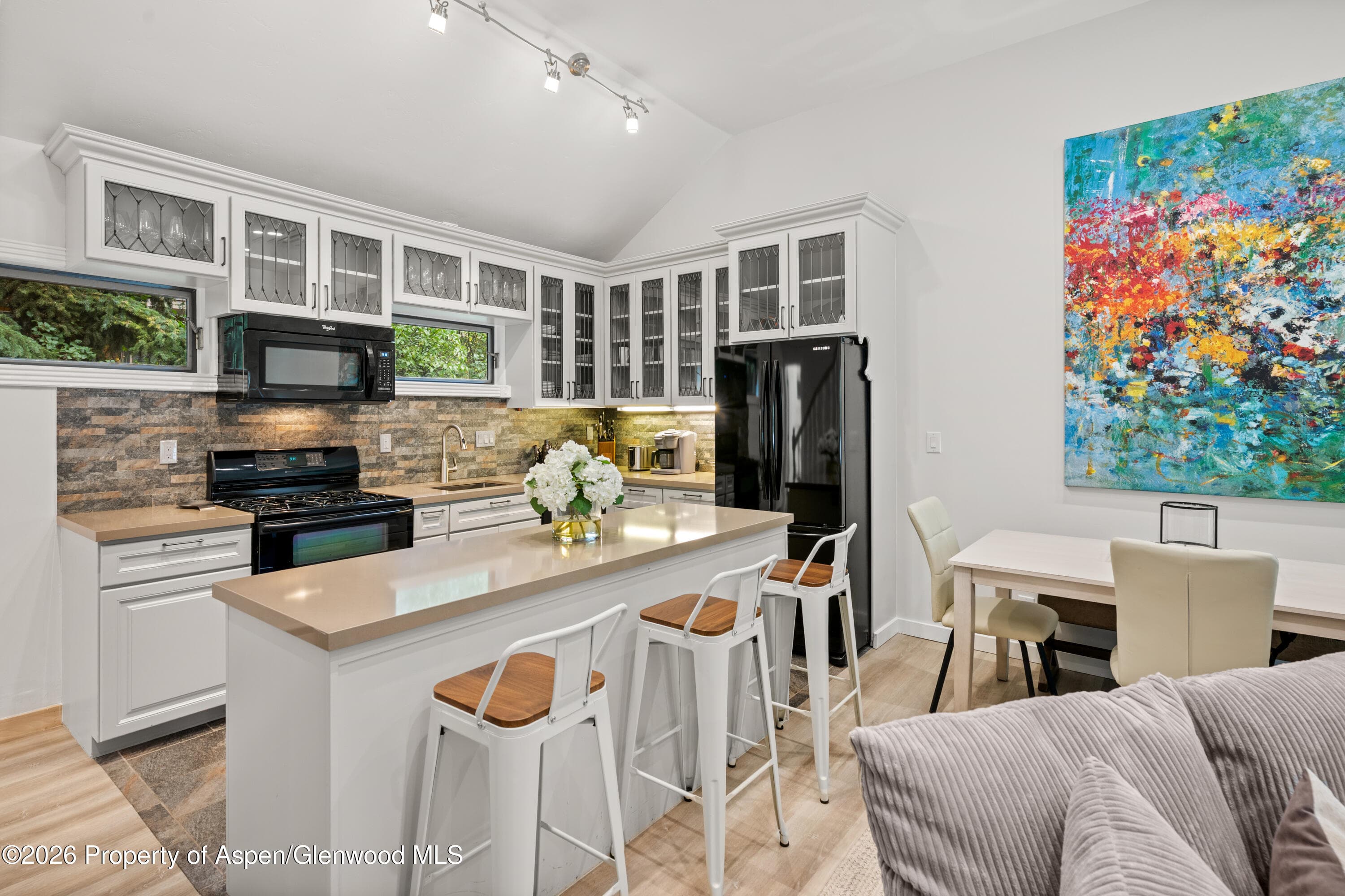 1195 E Cooper Avenue Unit A, Aspen, CO 81611 - Photo 4