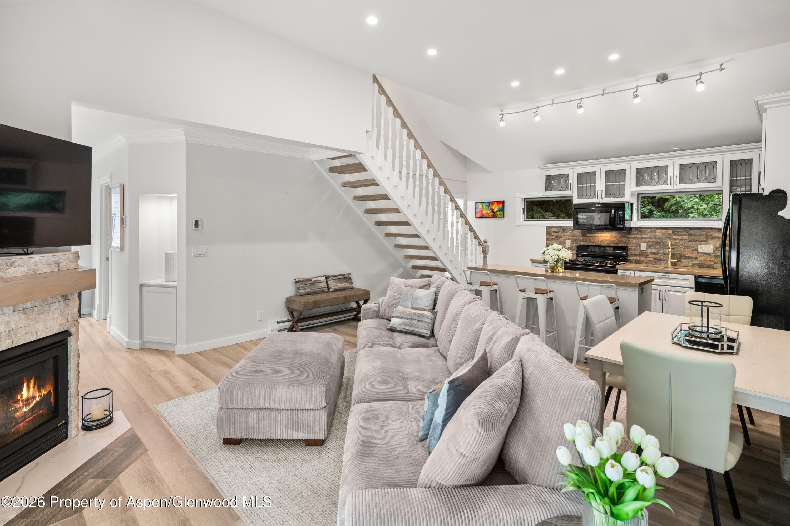 1195 E Cooper Avenue Unit A, Aspen, CO 81611 - Photo 2