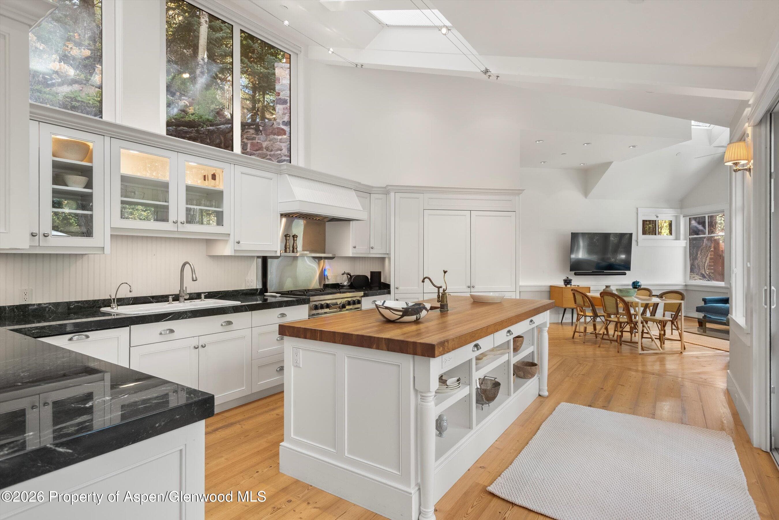 728 E Francis Street, Aspen, CO 81611 - Photo 8