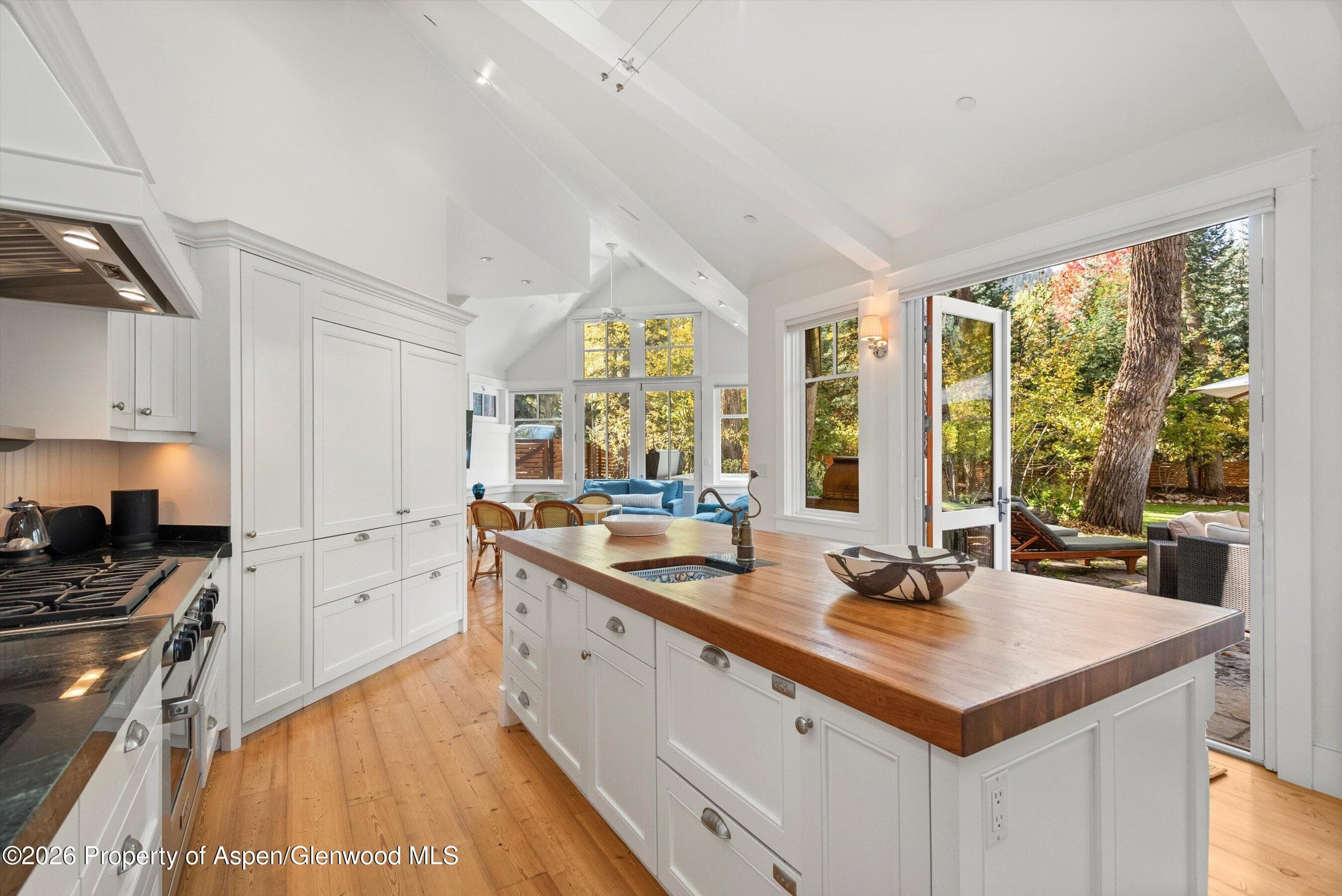 728 E Francis Street, Aspen, CO 81611 - Photo 9
