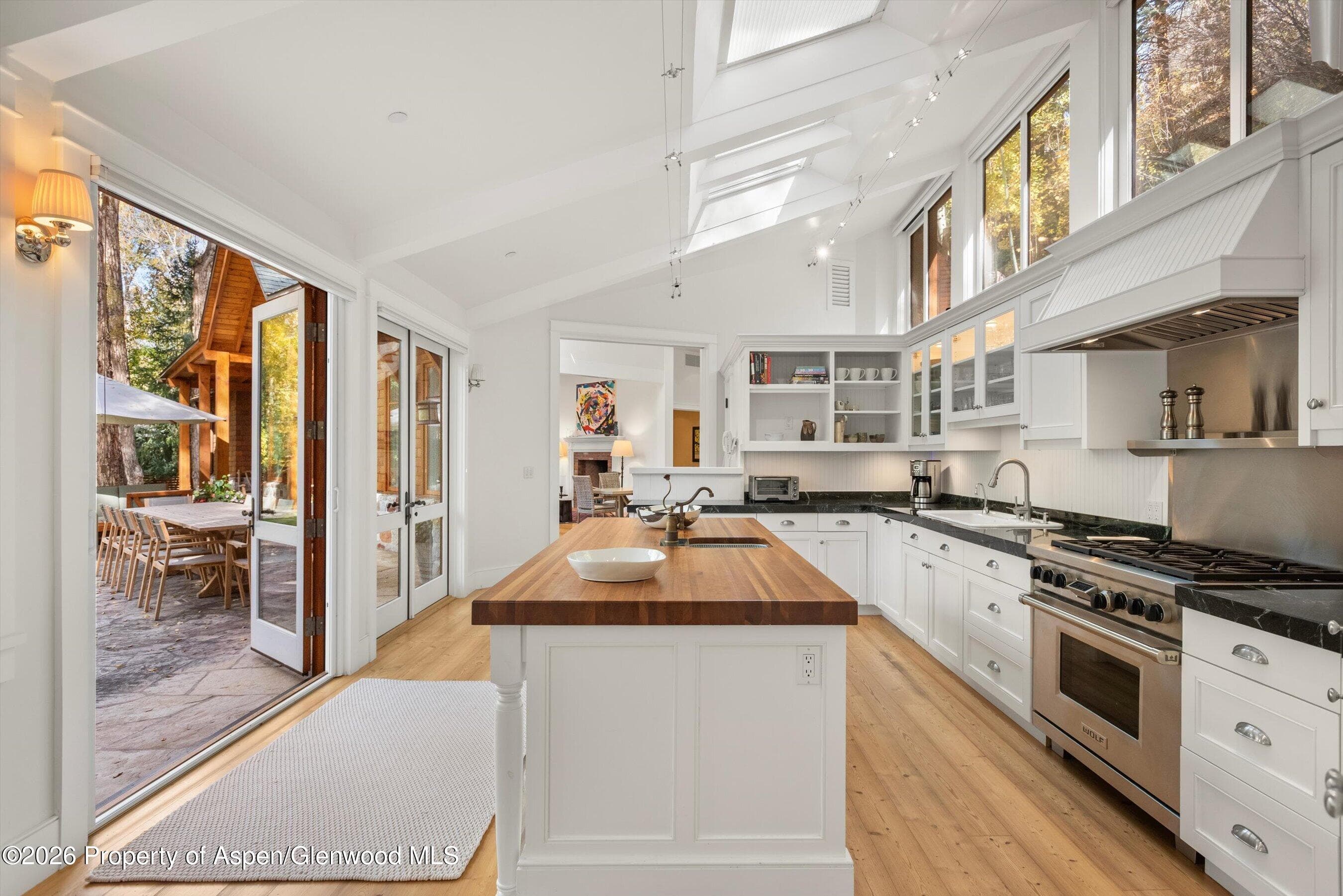 728 E Francis Street, Aspen, CO 81611 - Photo 10