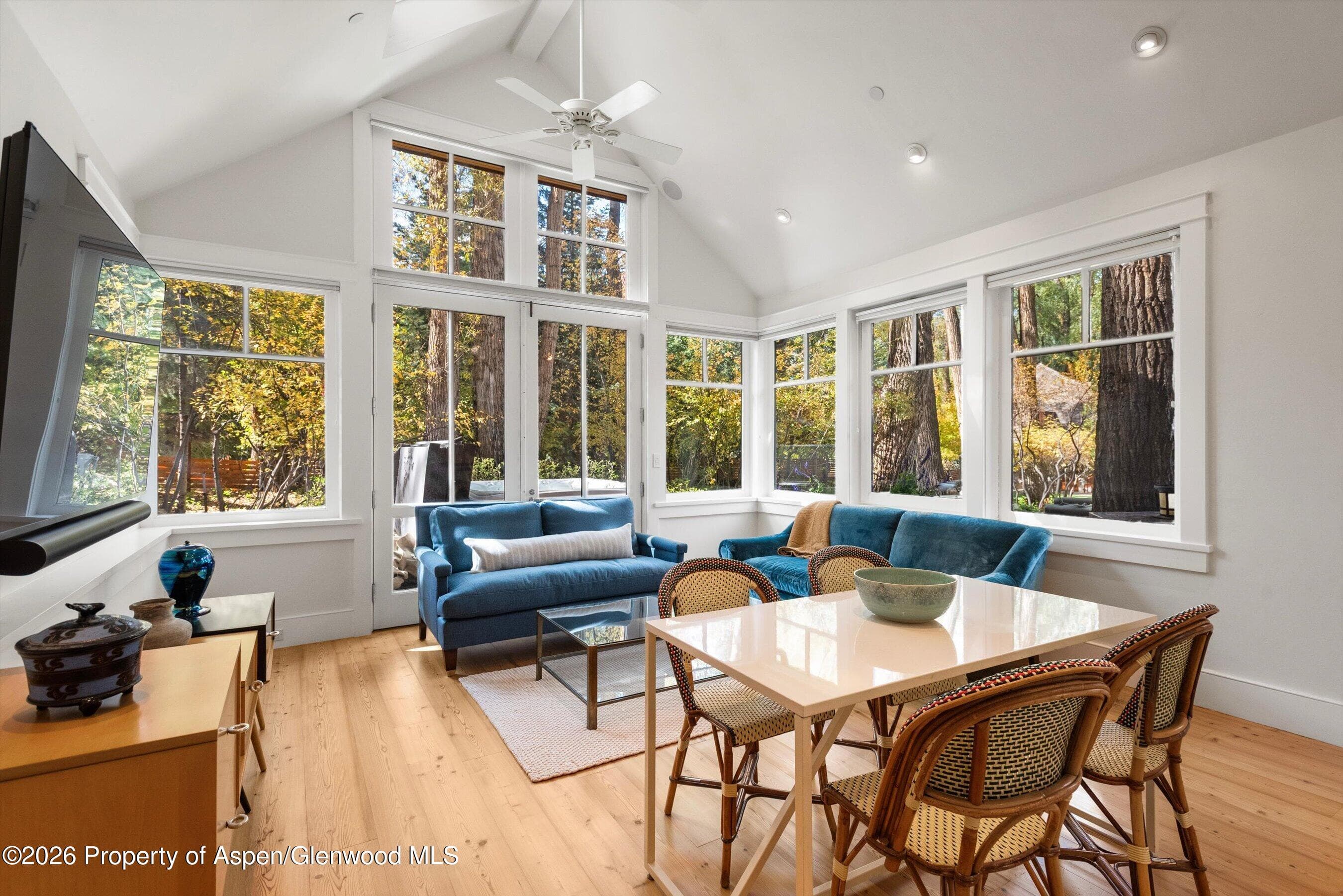 728 E Francis Street, Aspen, CO 81611 - Photo 12