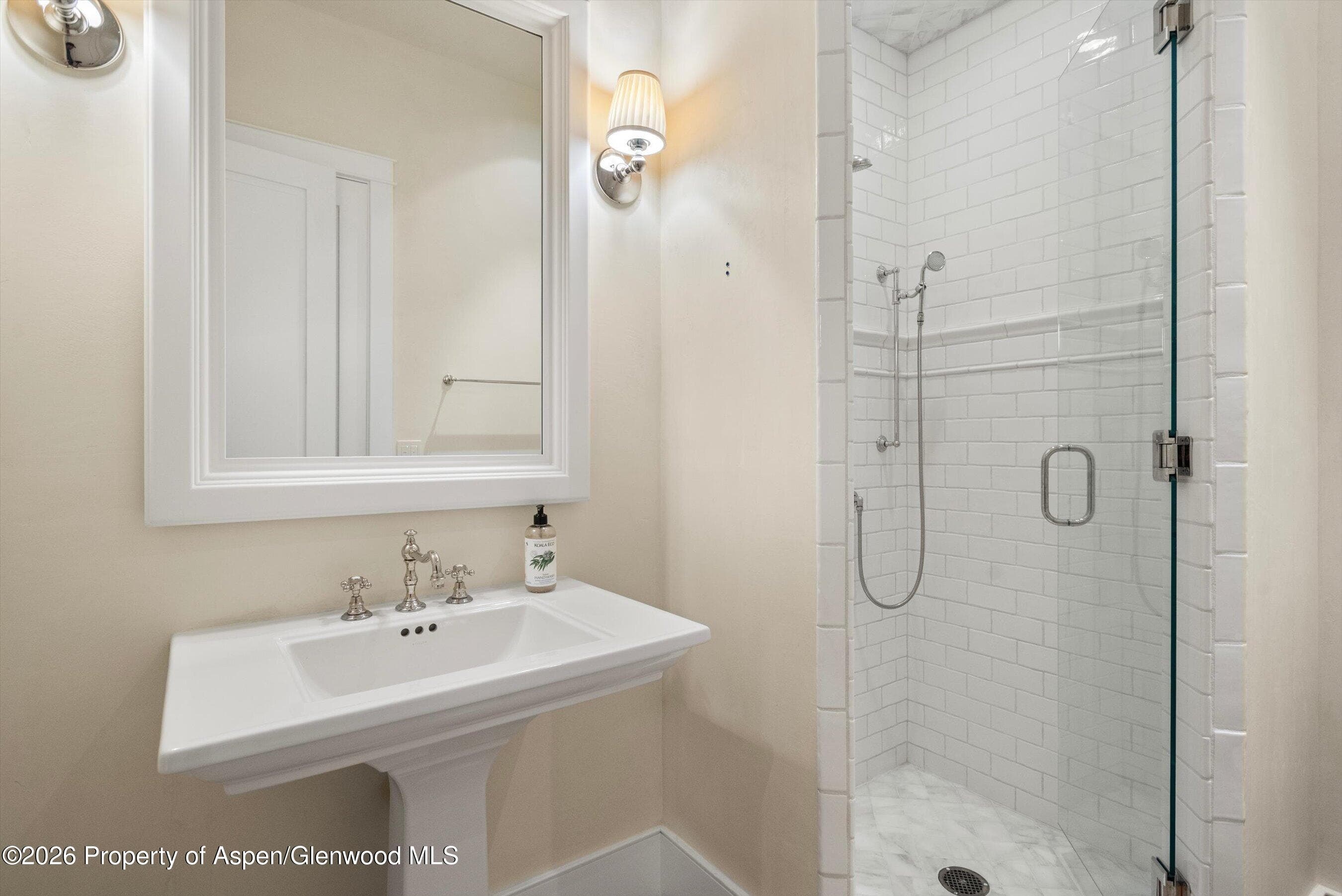 728 E Francis Street, Aspen, CO 81611 - Photo 15