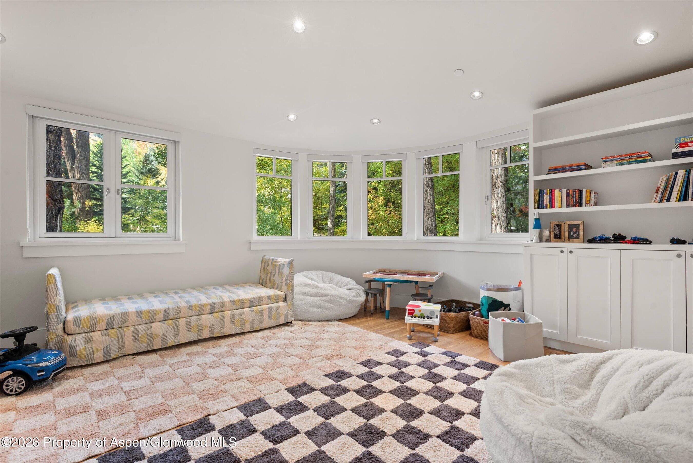 728 E Francis Street, Aspen, CO 81611 - Photo 18