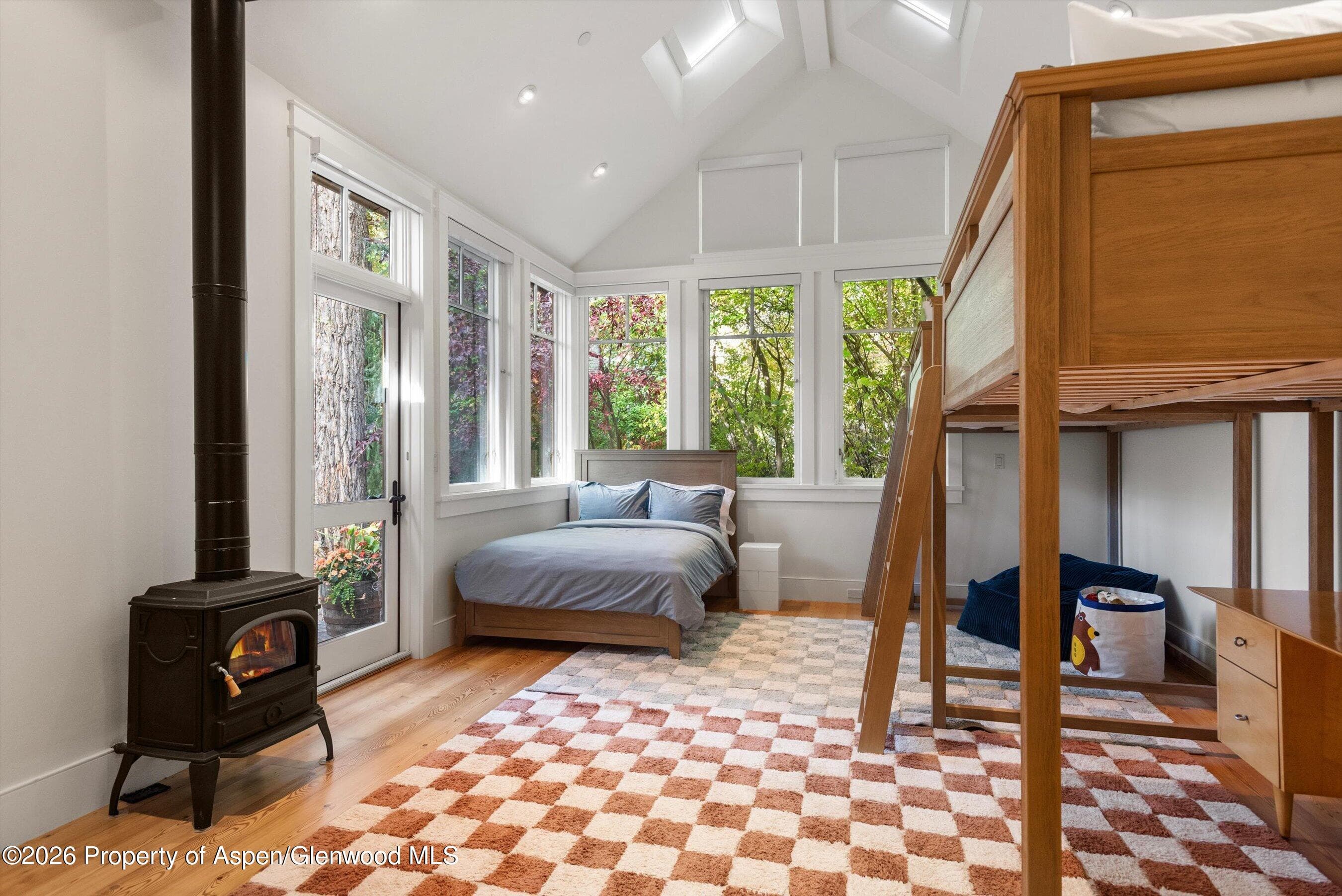 728 E Francis Street, Aspen, CO 81611 - Photo 16