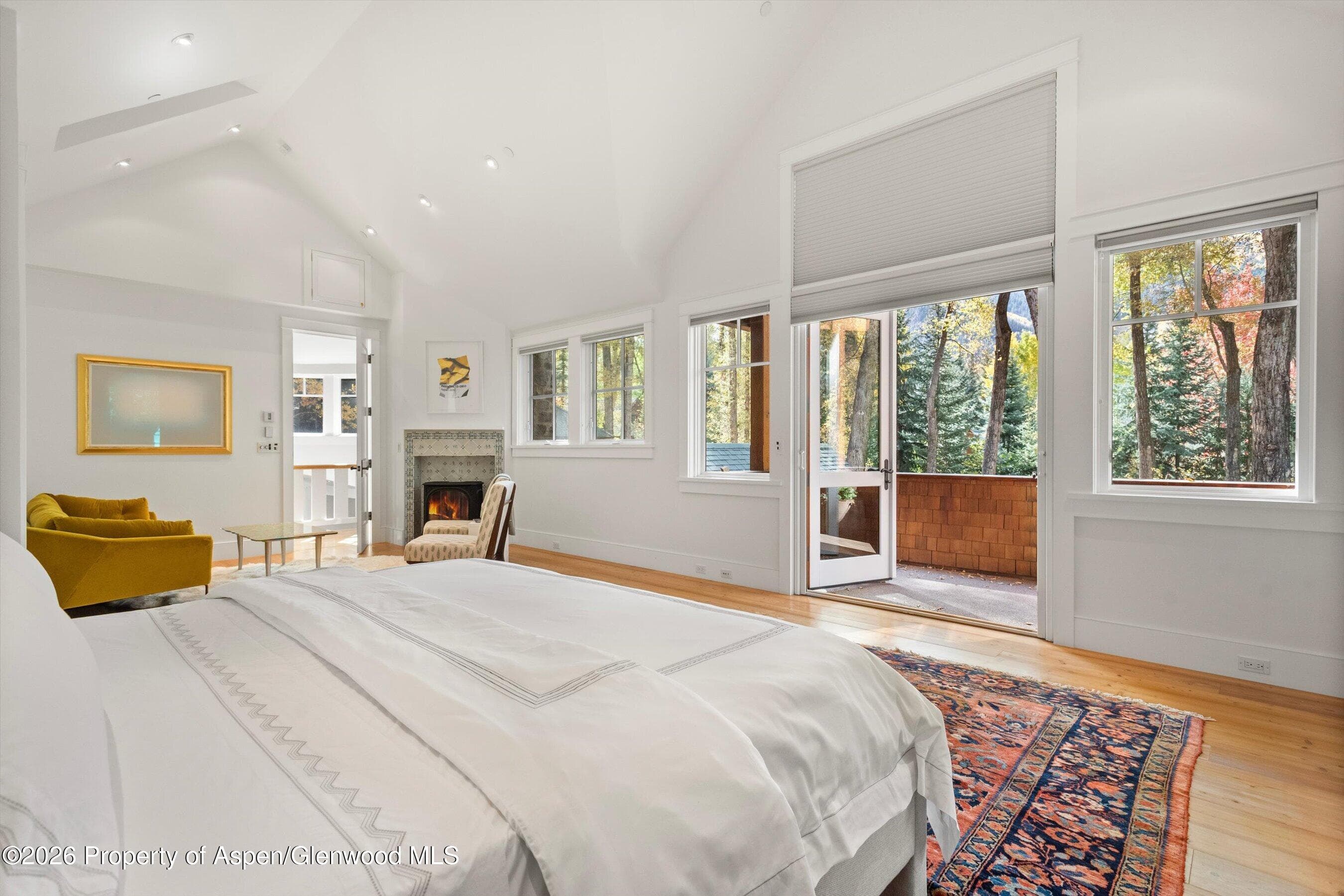 728 E Francis Street, Aspen, CO 81611 - Photo 21