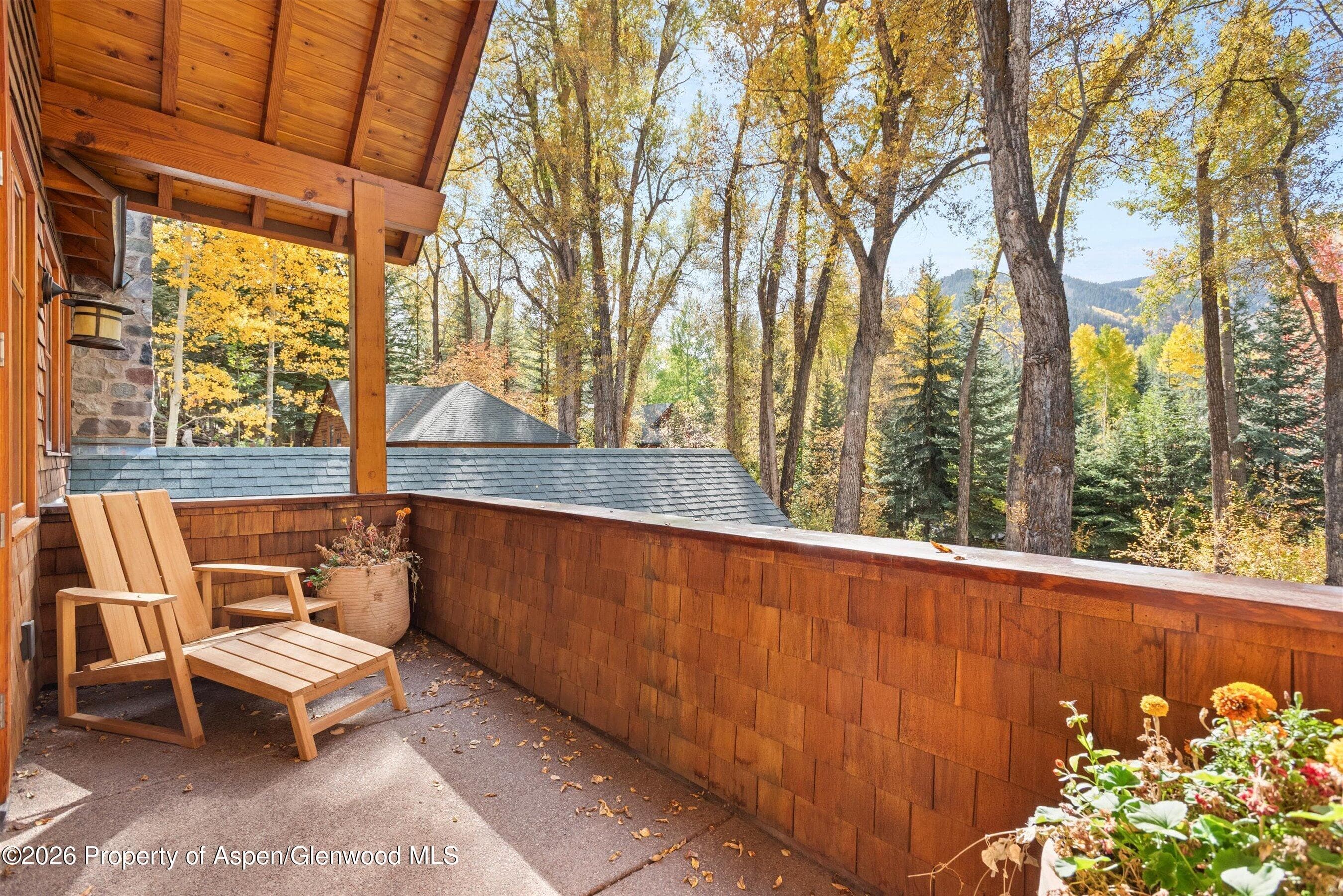 728 E Francis Street, Aspen, CO 81611 - Photo 22