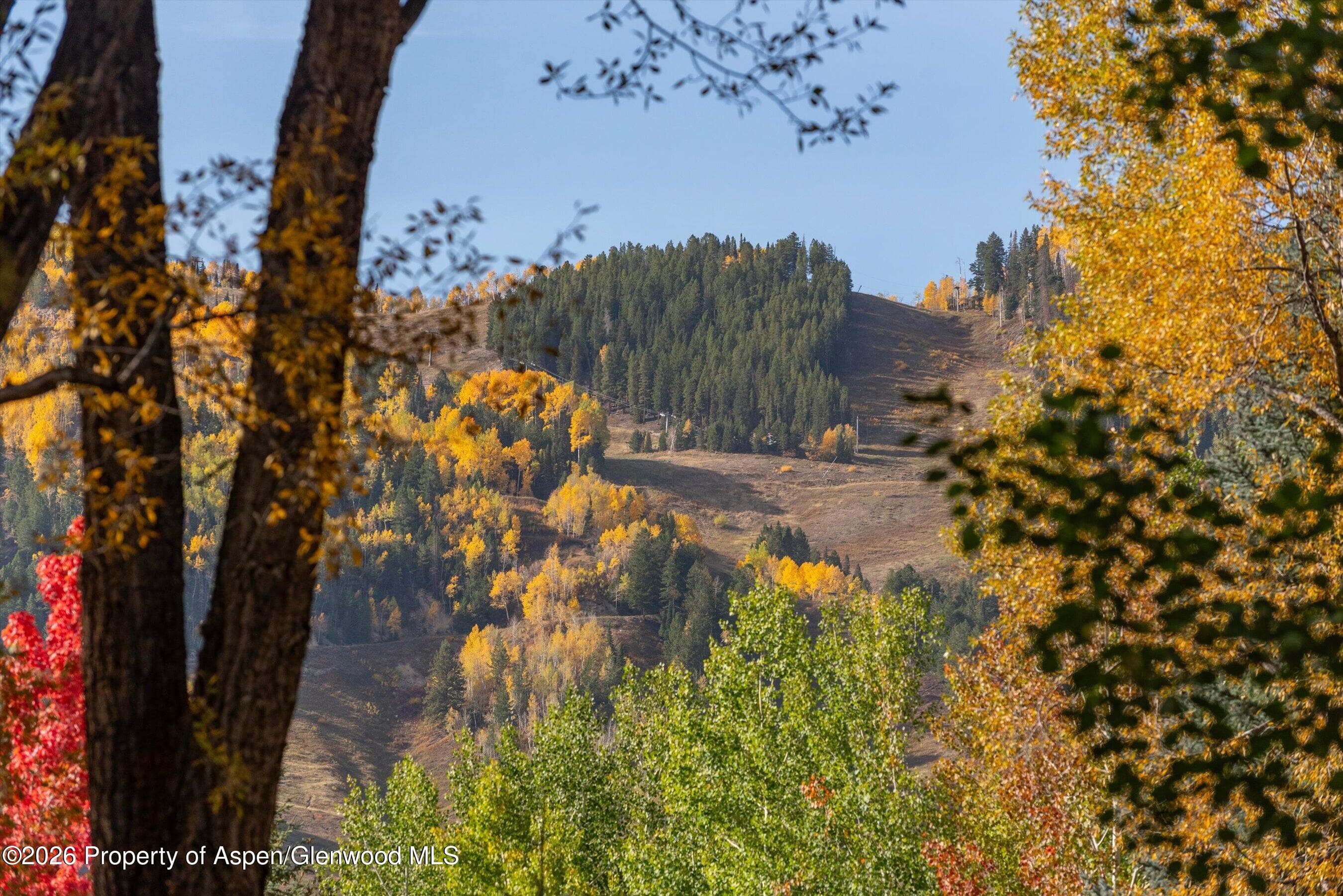 728 E Francis Street, Aspen, CO 81611 - Photo 23
