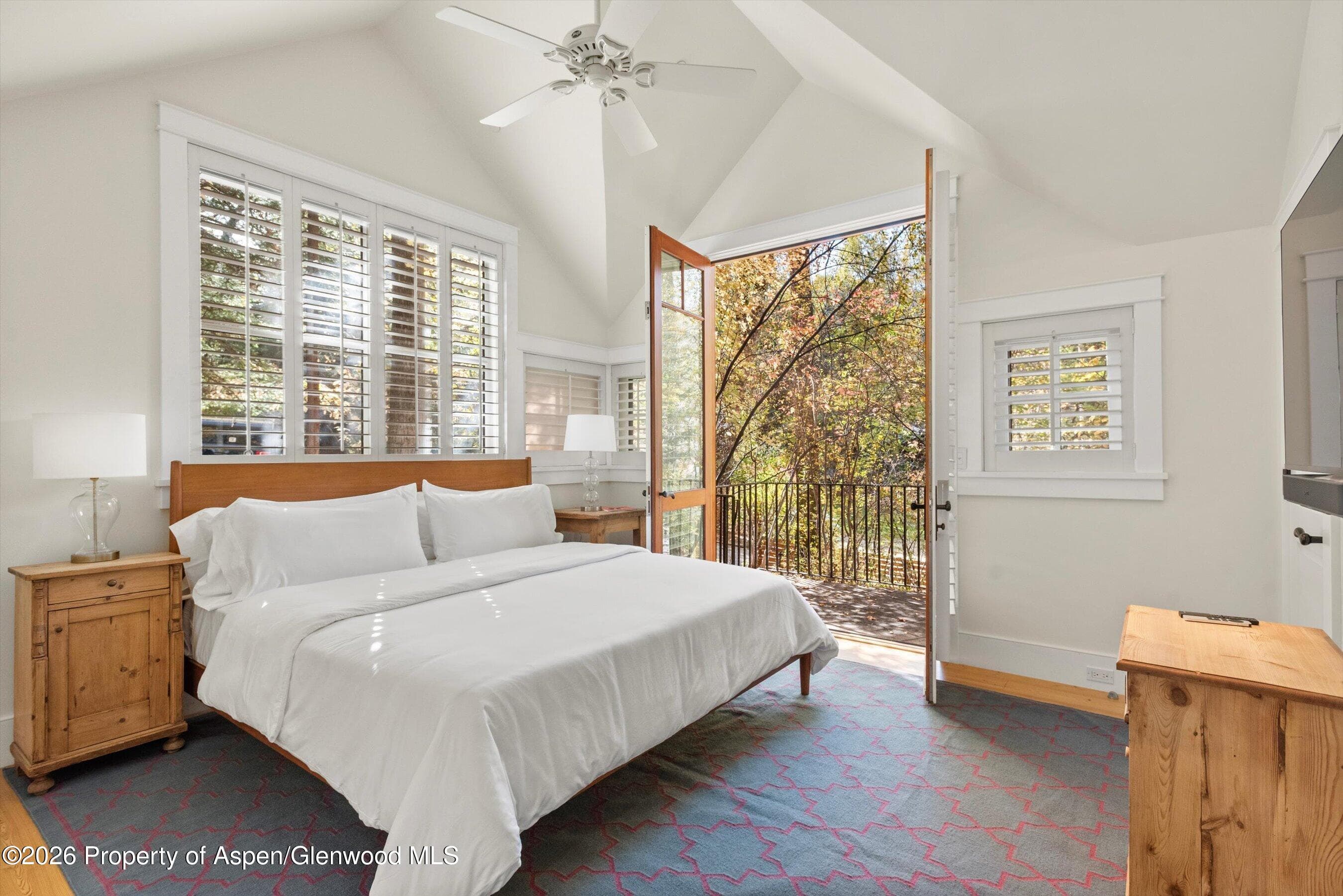 728 E Francis Street, Aspen, CO 81611 - Photo 27