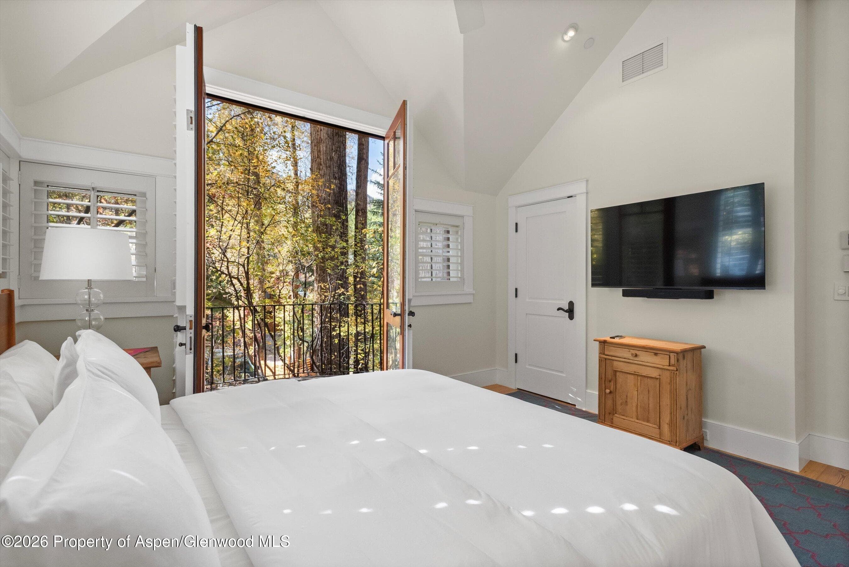 728 E Francis Street, Aspen, CO 81611 - Photo 28