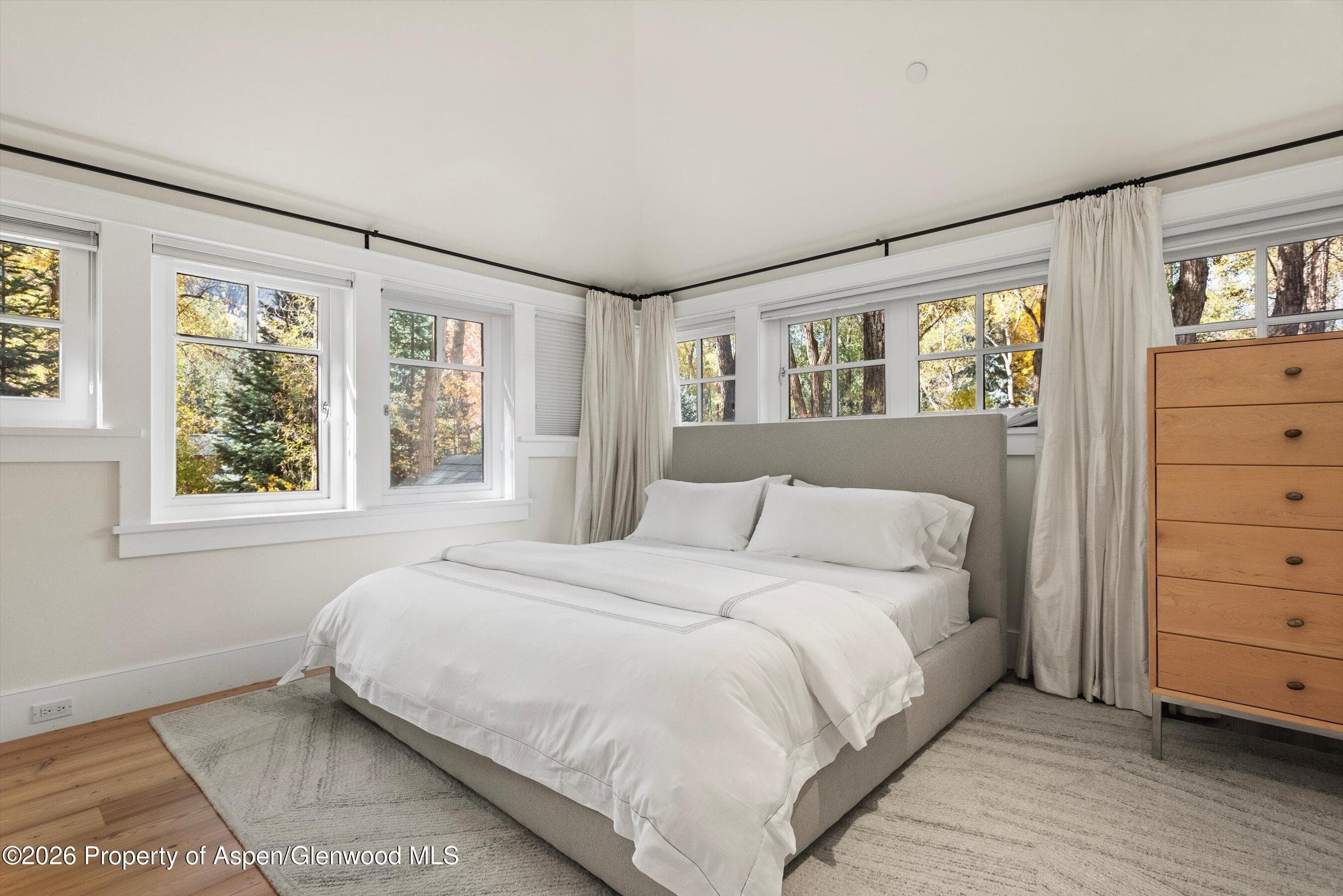 728 E Francis Street, Aspen, CO 81611 - Photo 30