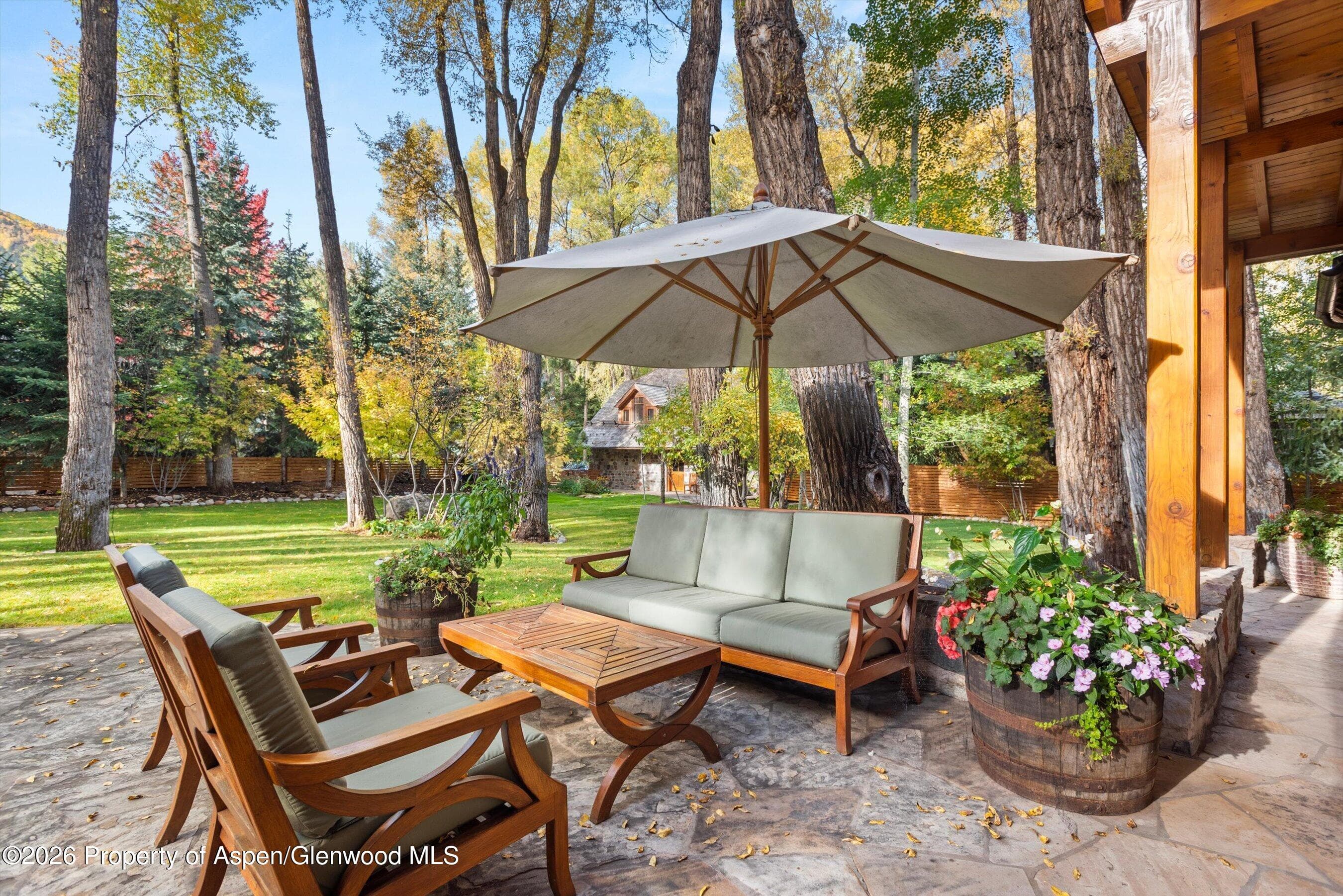728 E Francis Street, Aspen, CO 81611 - Photo 33