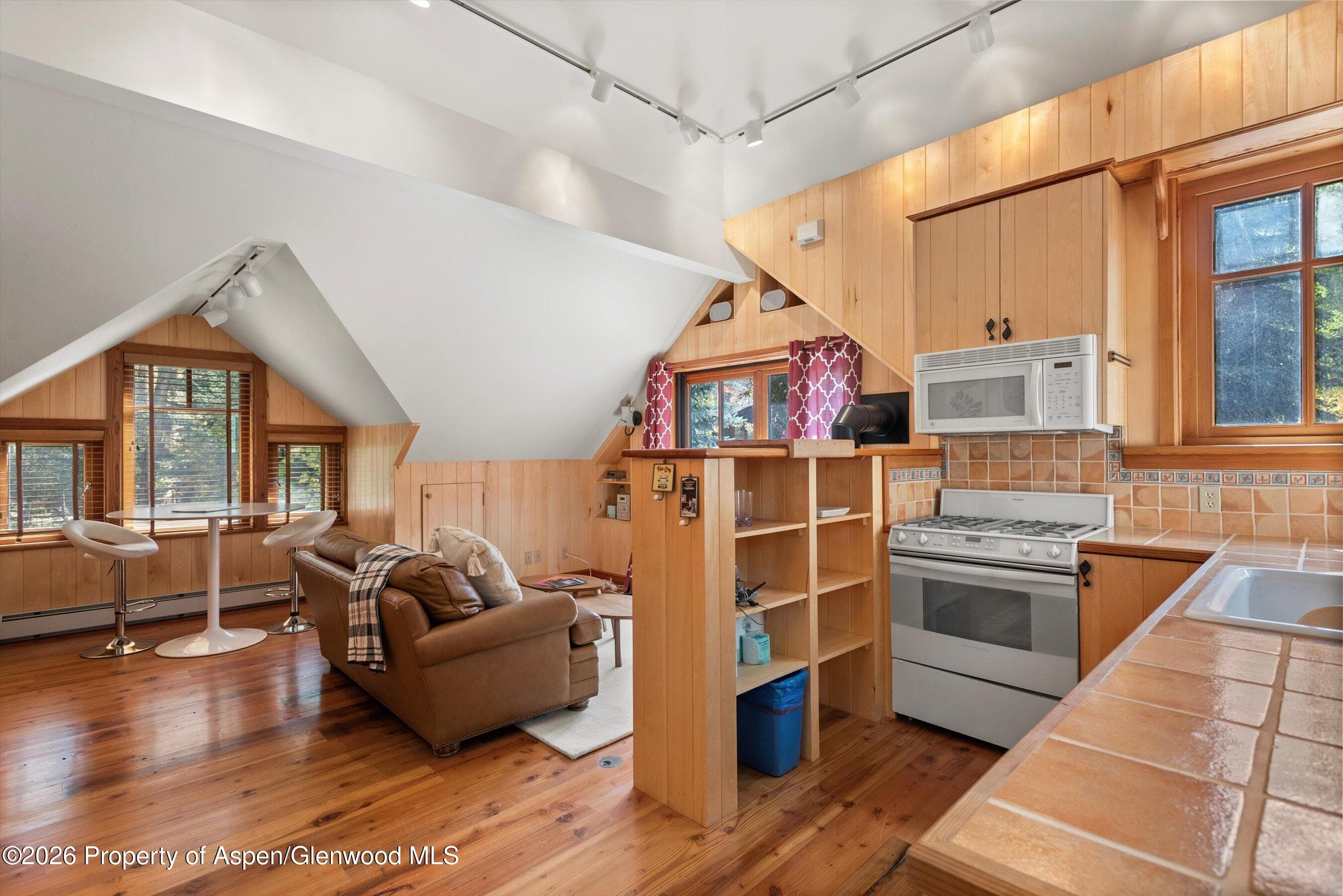 728 E Francis Street, Aspen, CO 81611 - Photo 40