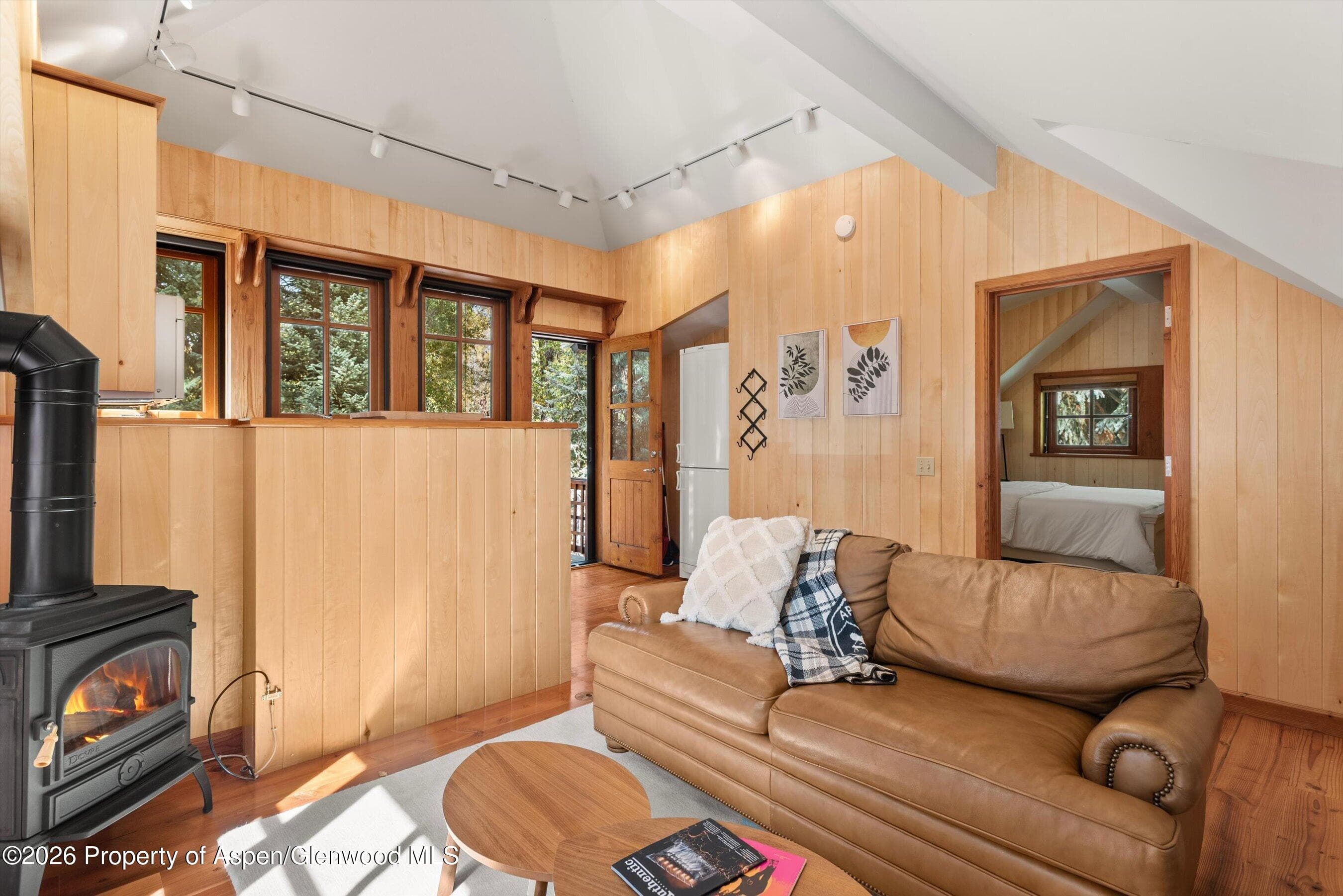 728 E Francis Street, Aspen, CO 81611 - Photo 41