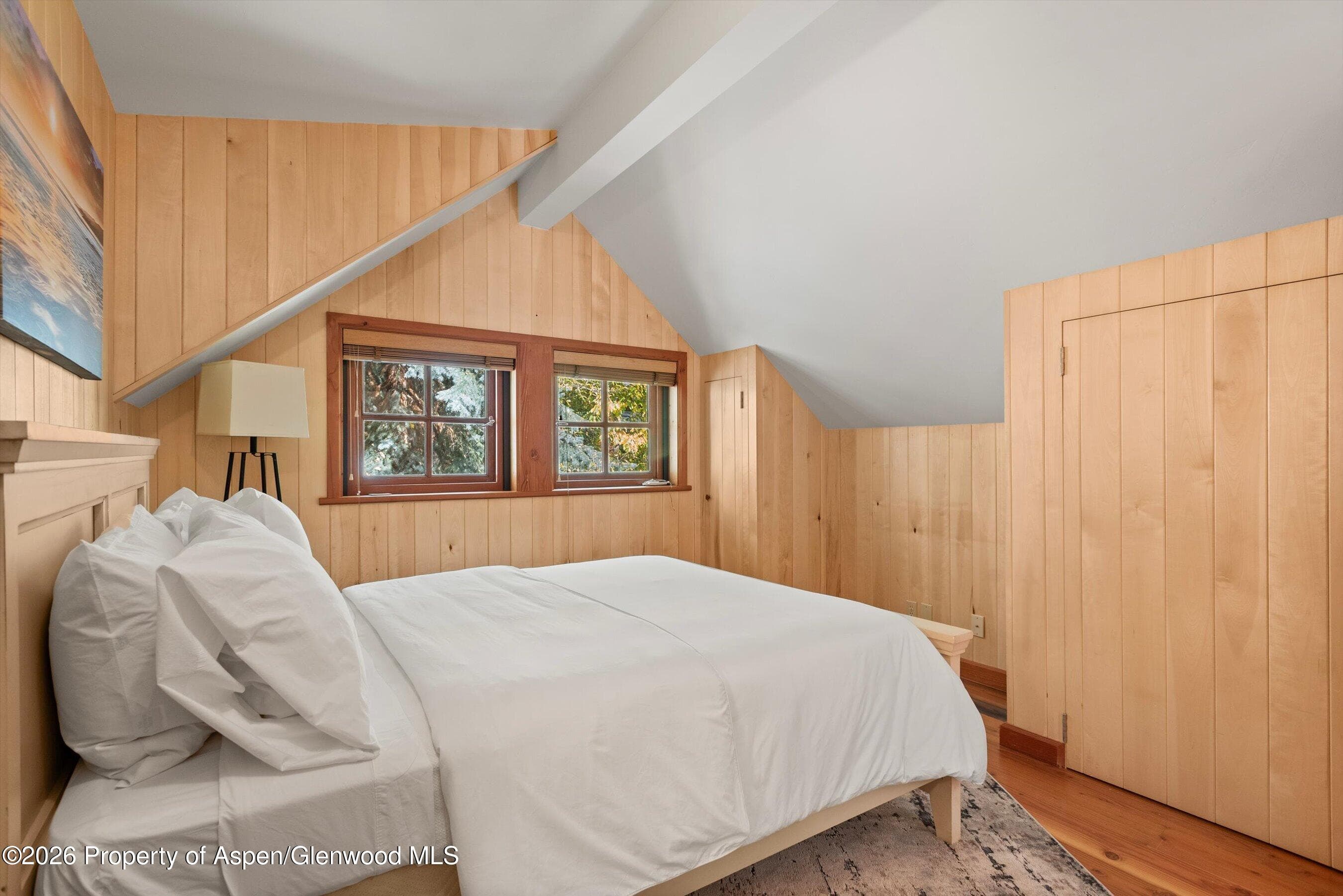 728 E Francis Street, Aspen, CO 81611 - Photo 42