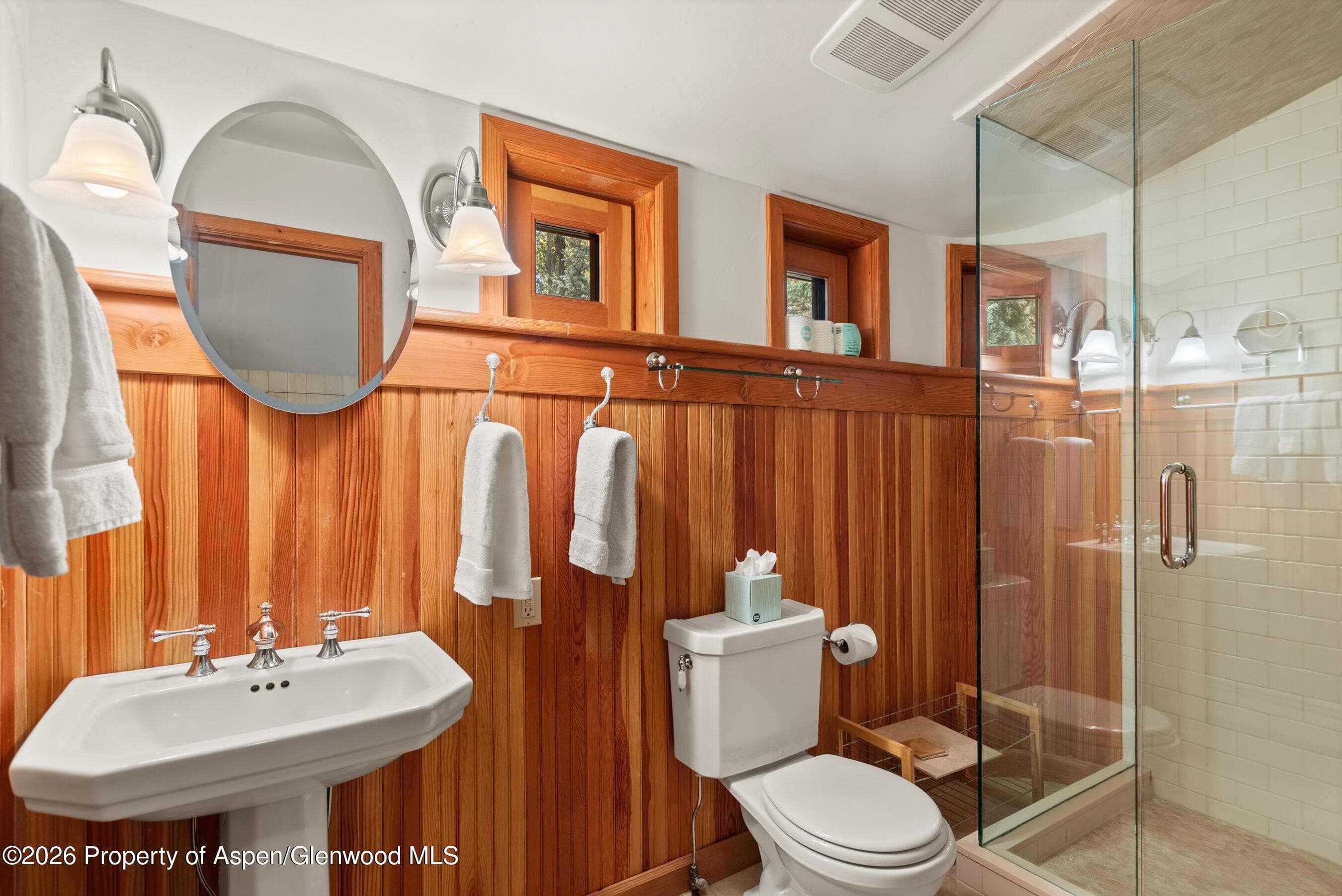 728 E Francis Street, Aspen, CO 81611 - Photo 43