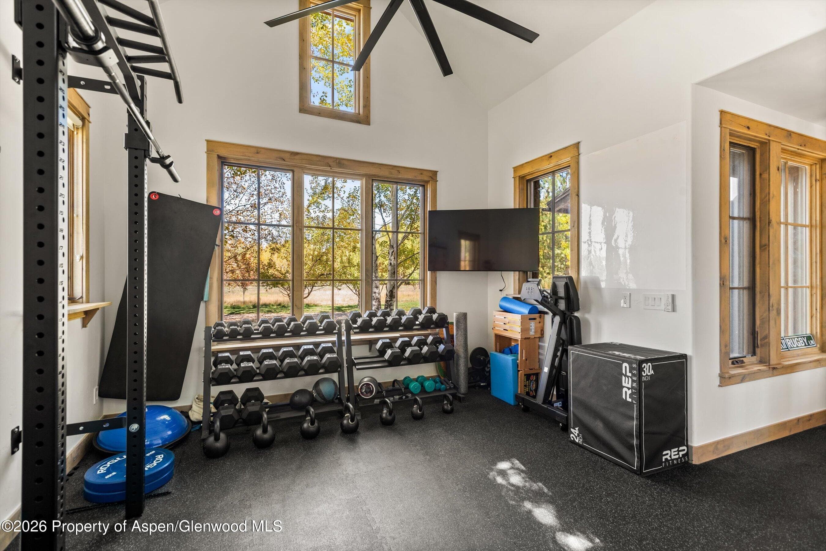 14 Silver Spruce Drive, Carbondale, CO 81623 - Photo 22