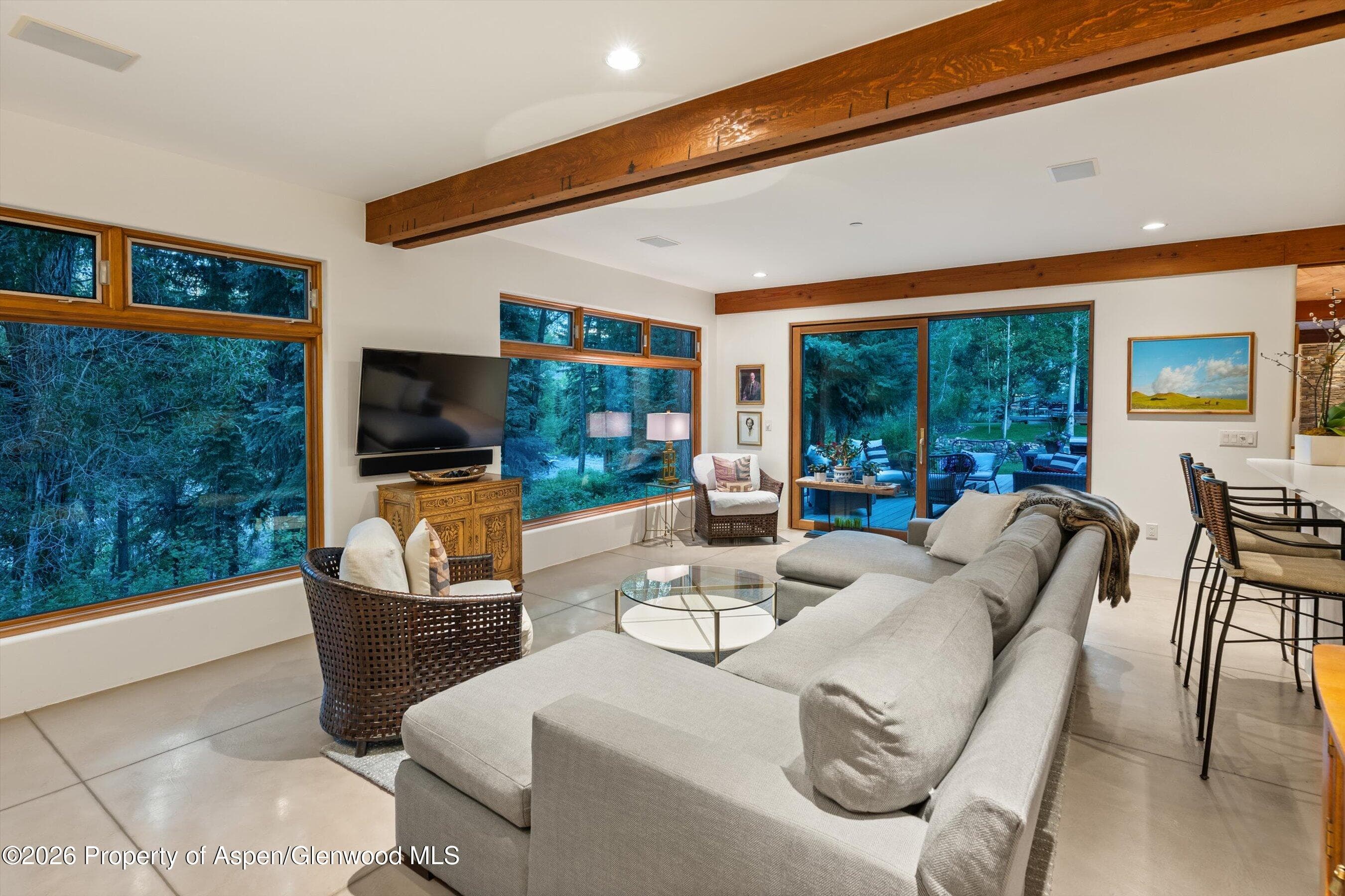 256 Twining Flats Road, Aspen, CO 81611 - Photo 19