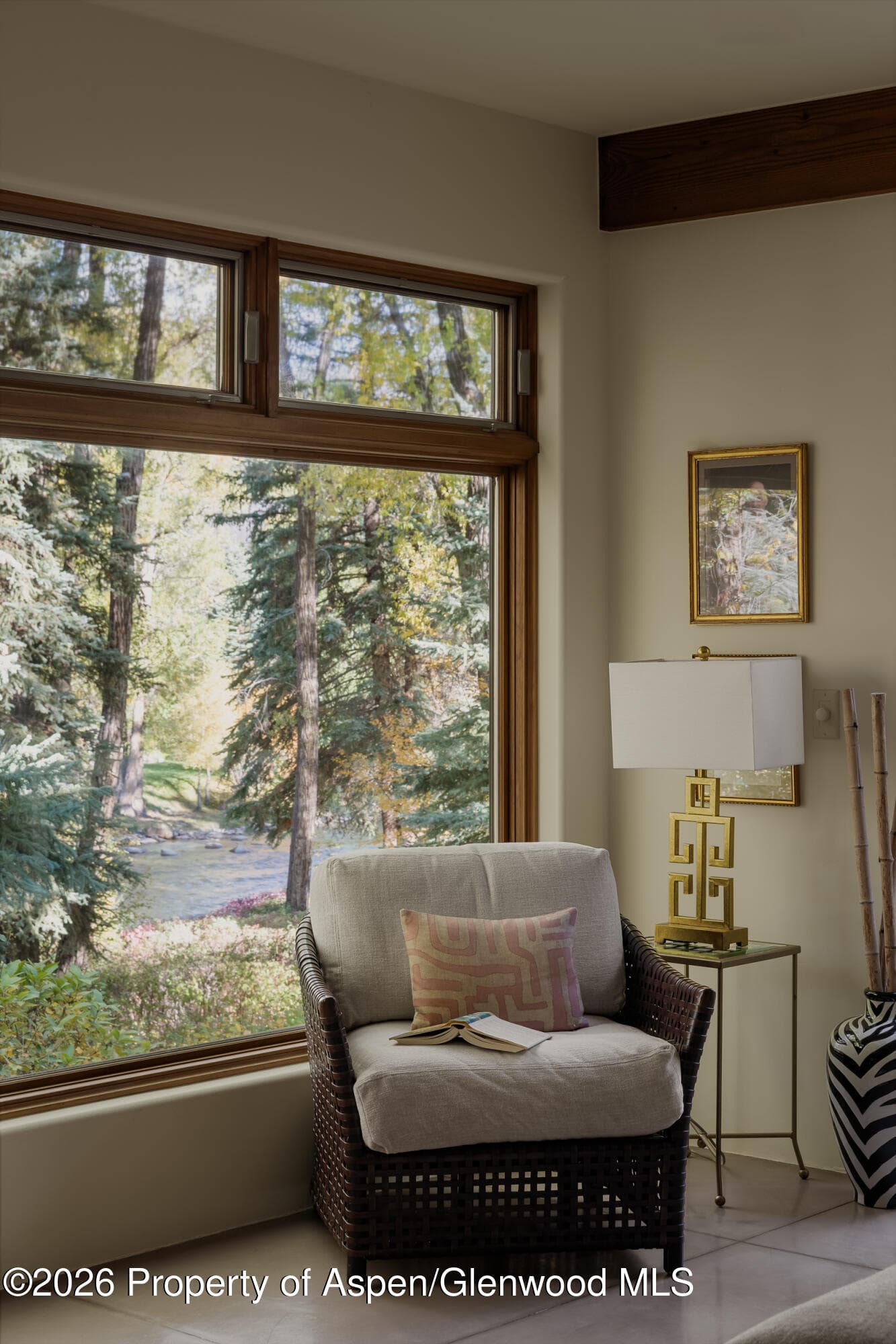 256 Twining Flats Road, Aspen, CO 81611 - Photo 18