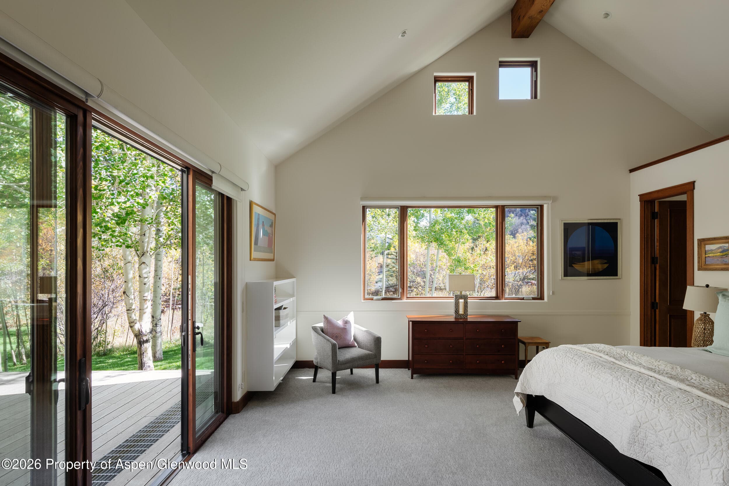 256 Twining Flats Road, Aspen, CO 81611 - Photo 50