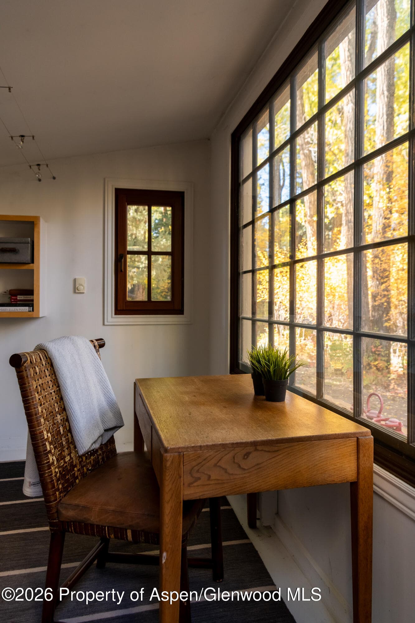 256 Twining Flats Road, Aspen, CO 81611 - Photo 57