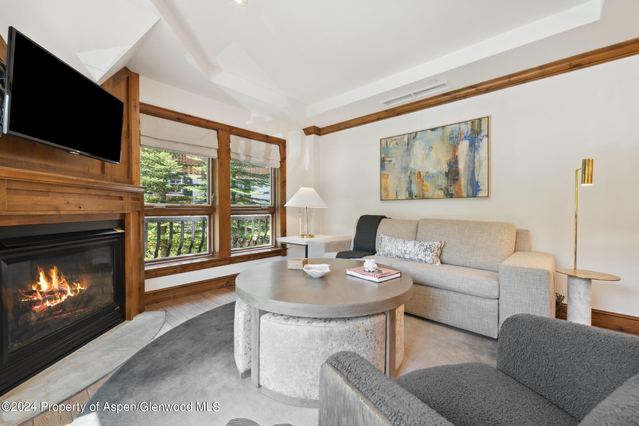 415 E Dean St., Unit 44b, Week 5, Aspen, CO 81611 - Photo 2