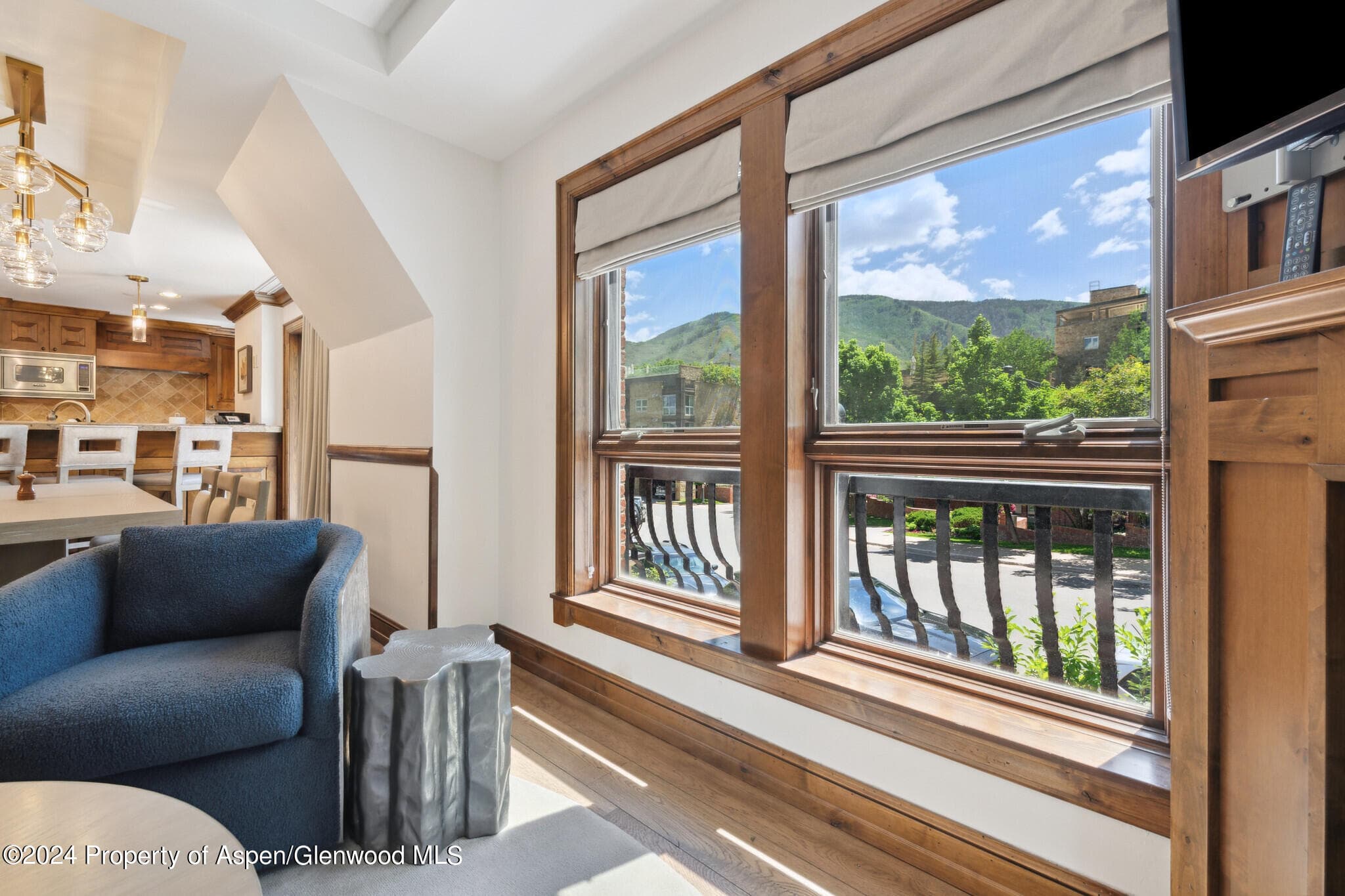 415 E Dean St., Unit 44b, Week 5, Aspen, CO 81611 - Photo 9