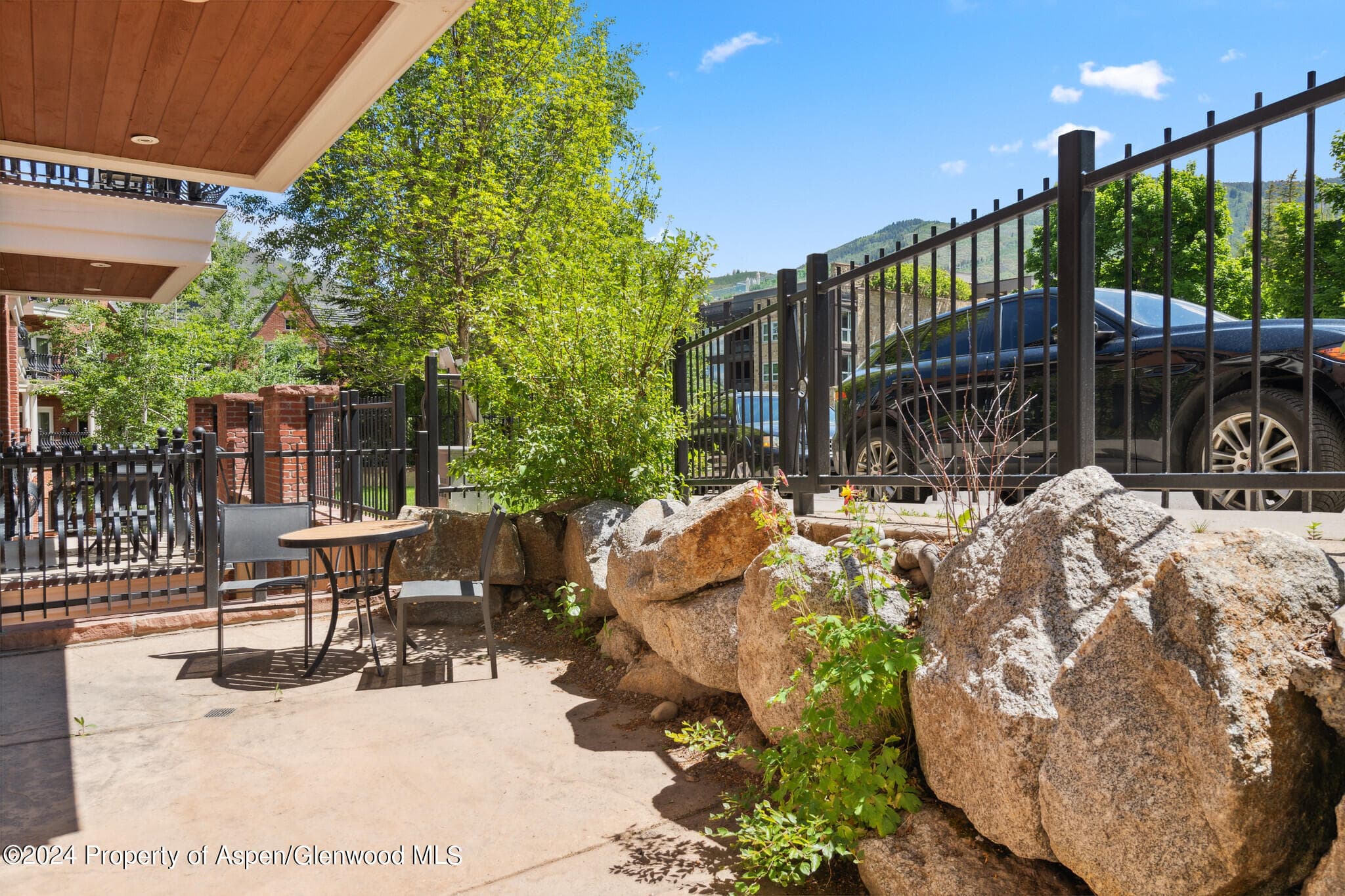 415 E Dean St., Unit 44b, Week 5, Aspen, CO 81611 - Photo 16