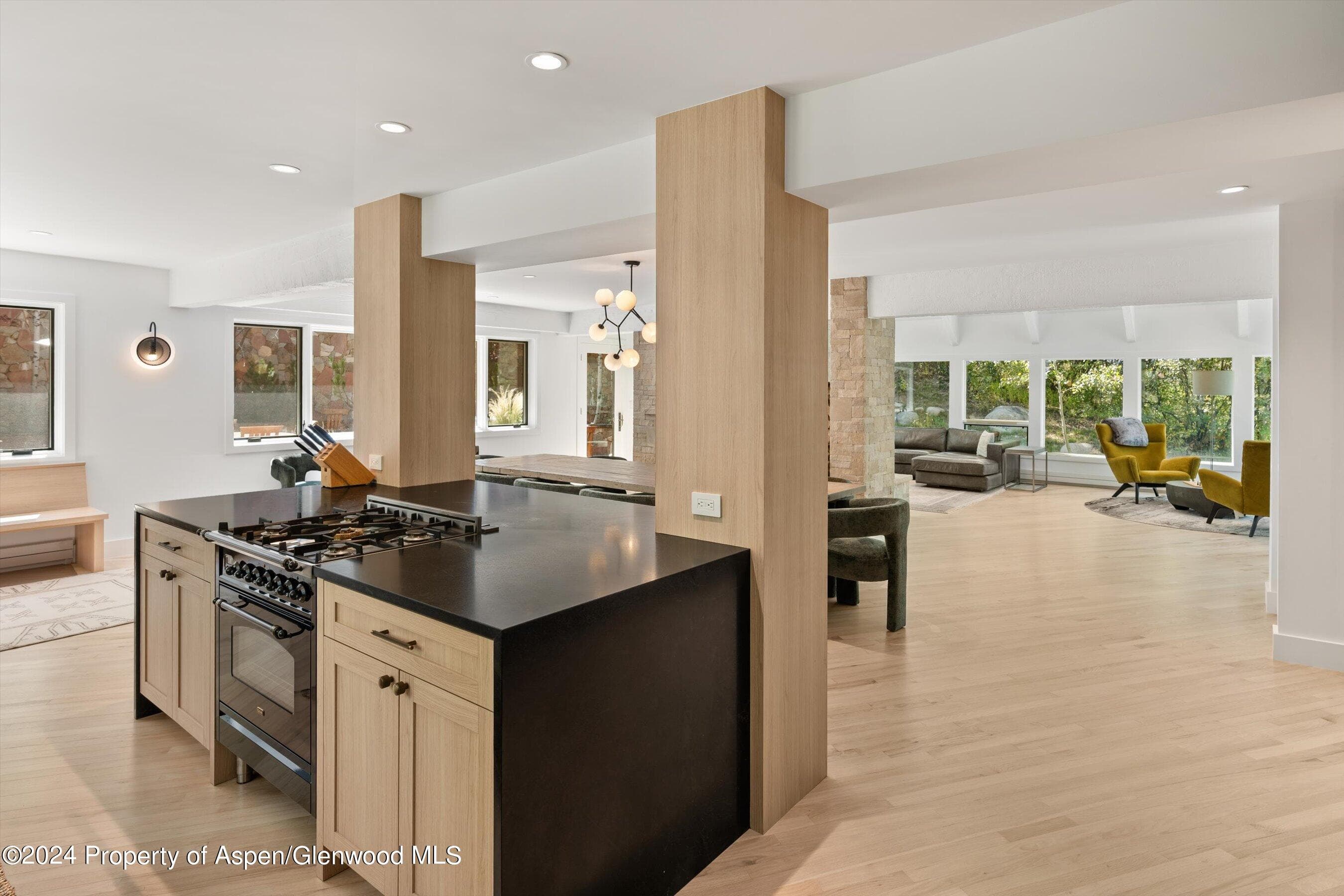 50 Deer Lane, Snowmass Village, CO 81615 - Photo 13