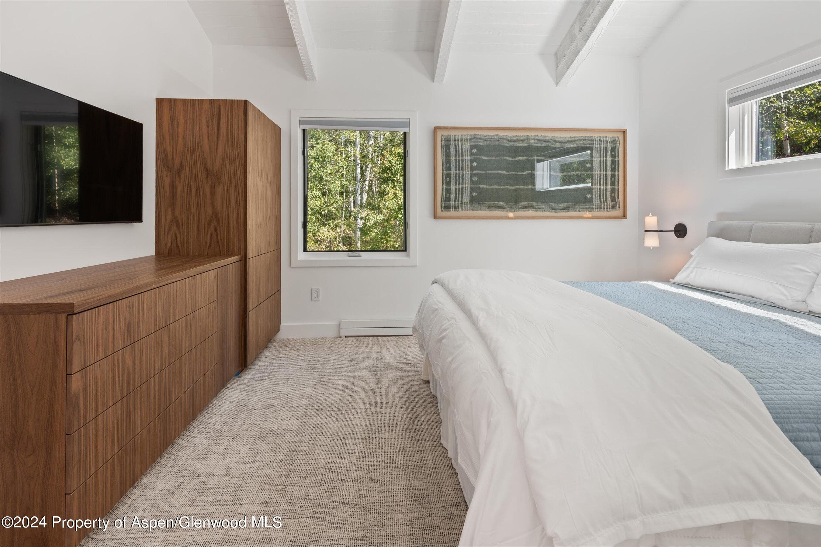 50 Deer Lane, Snowmass Village, CO 81615 - Photo 15