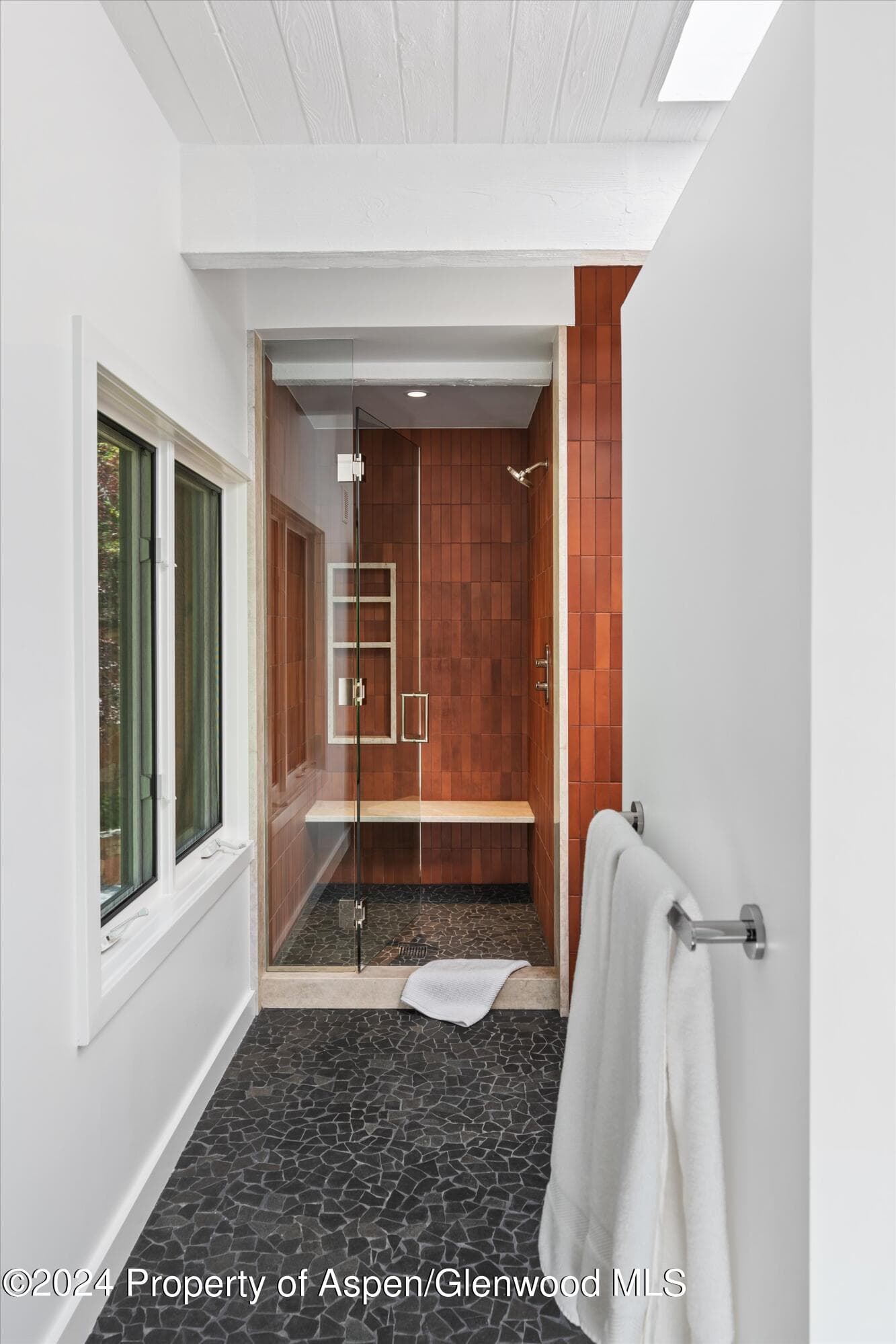 50 Deer Lane, Snowmass Village, CO 81615 - Photo 23