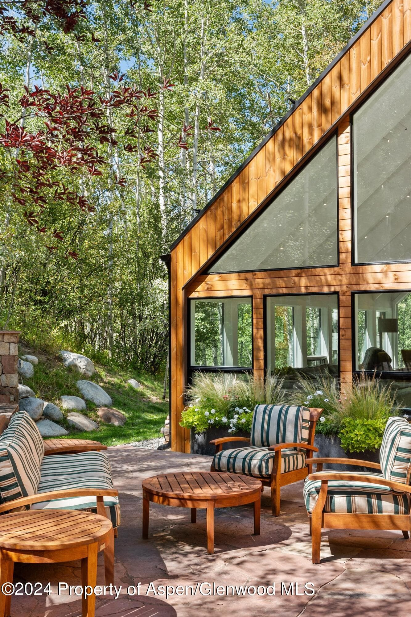 50 Deer Lane, Snowmass Village, CO 81615 - Photo 33