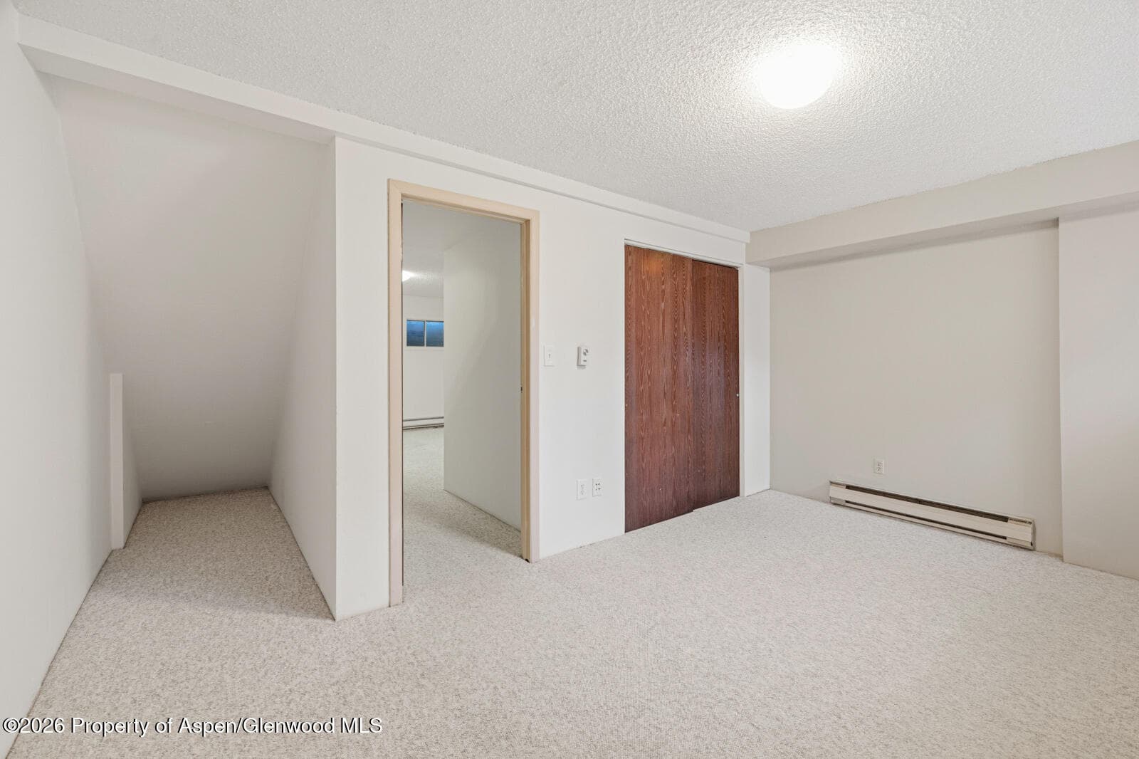 630 Davis Drive 2, Glenwood Springs, CO 81601 - Photo 28